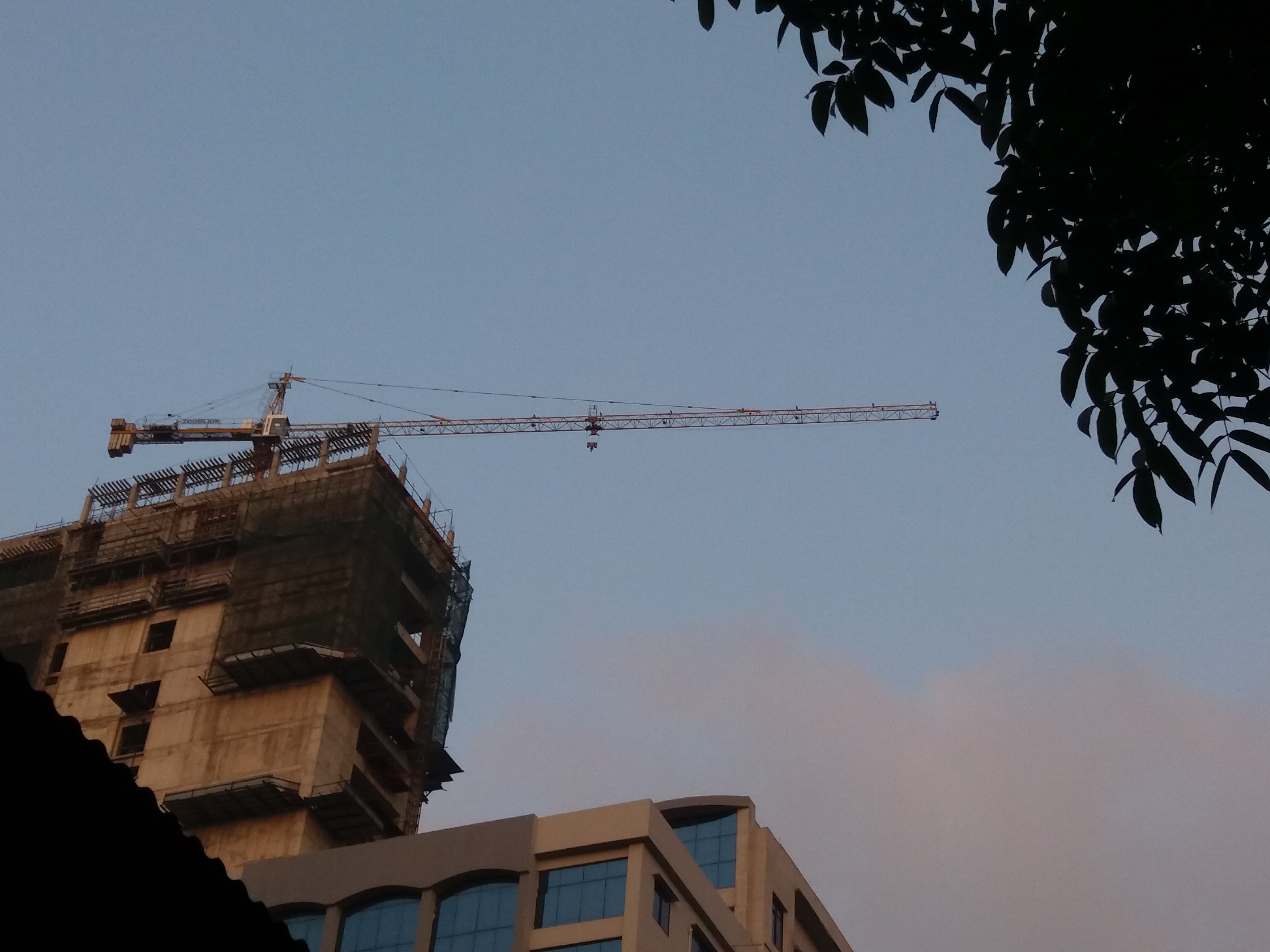 20190517_054220.jpg