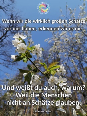 IMG_20190402_114048_400.jpg