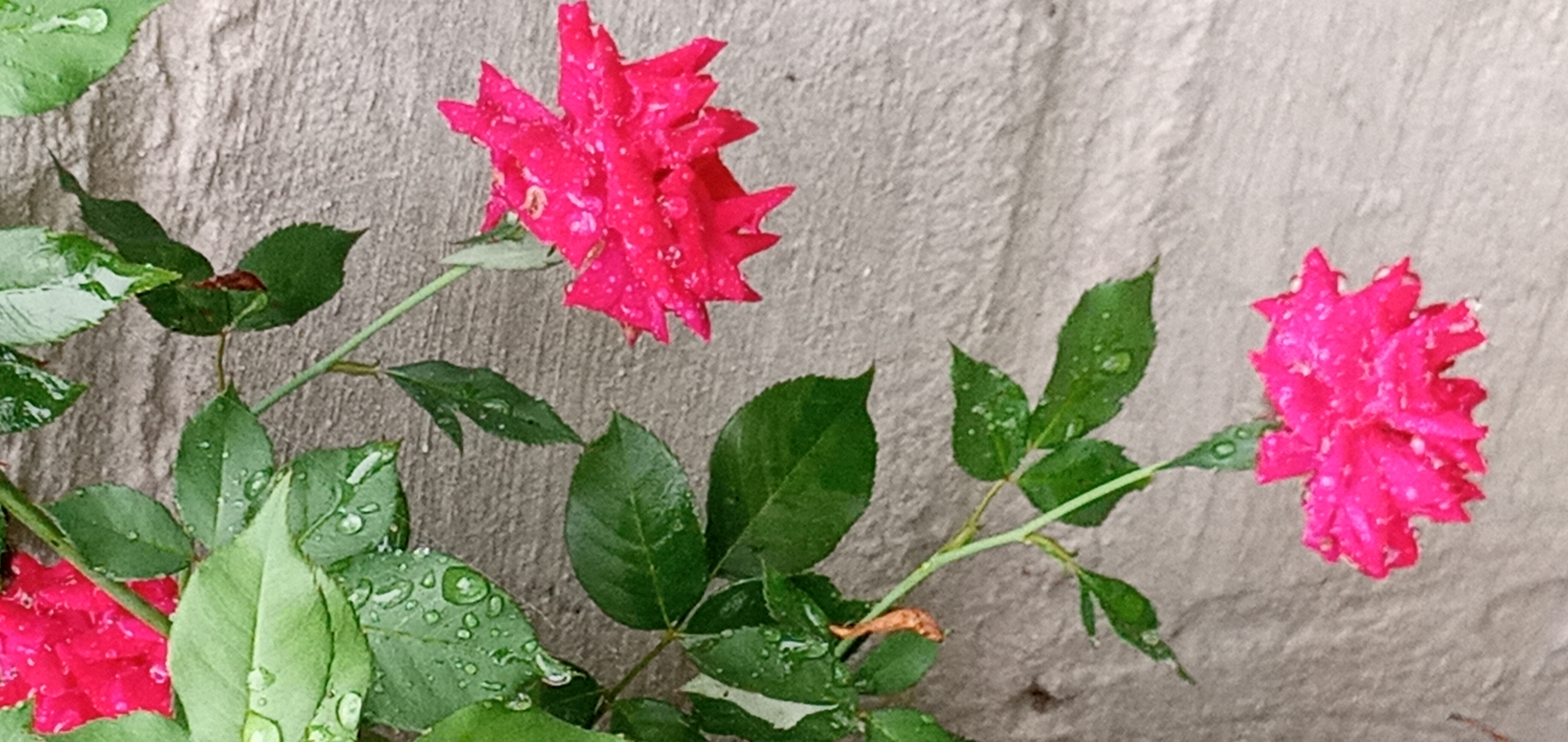20210919_171409.jpg