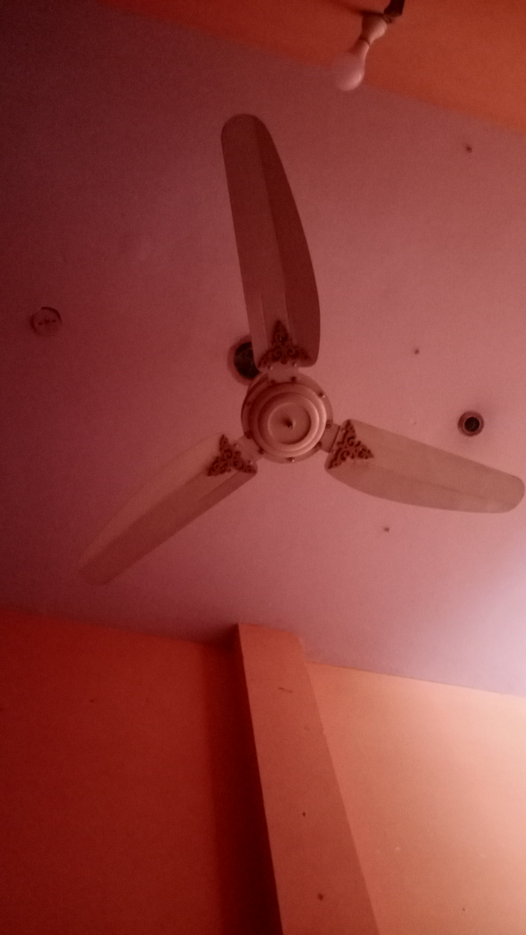 IMG-20210609-WA0005.jpeg