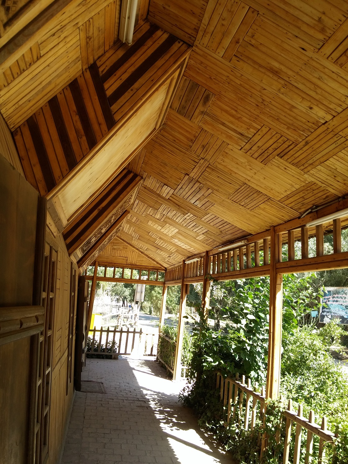 20150927_122651.jpg