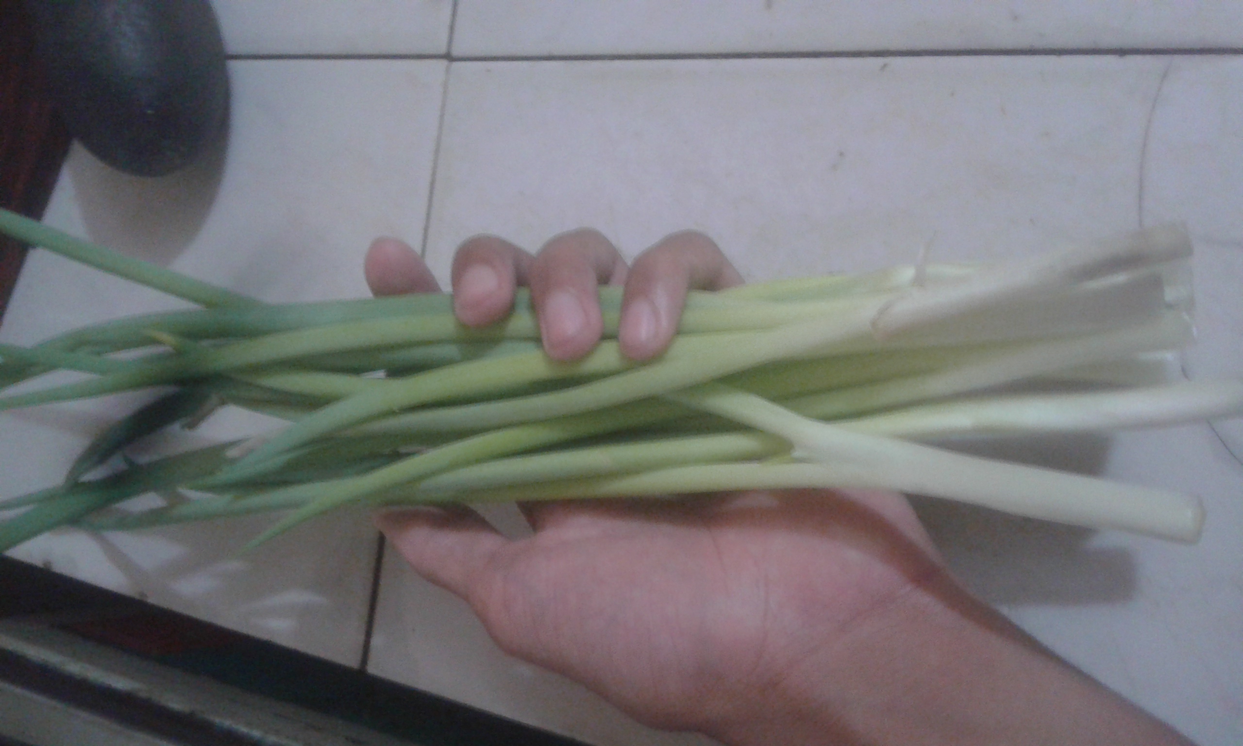 20181004_124149.jpg