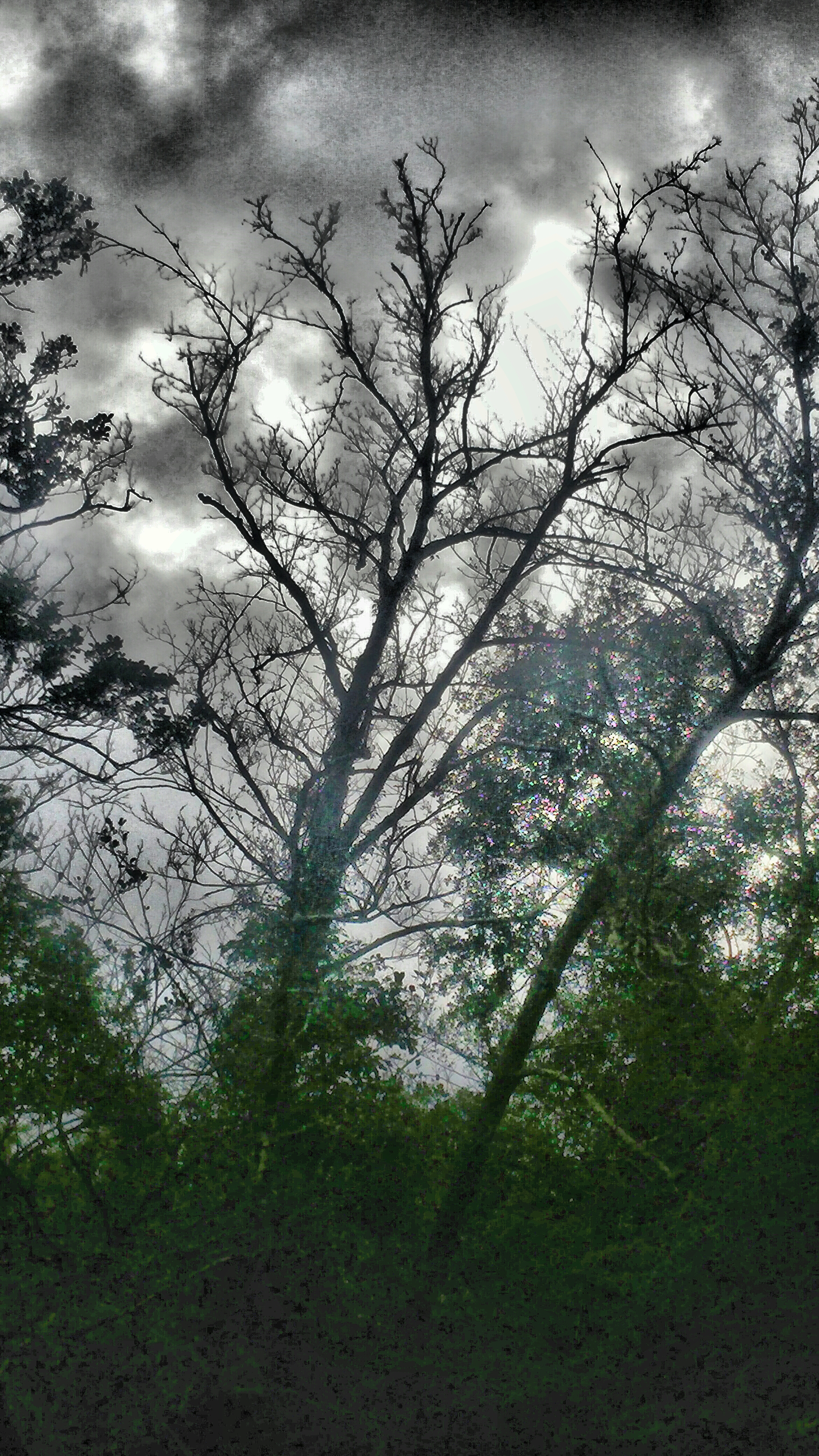 Ultimate_HDR_Camera_20170902_140621.jpg