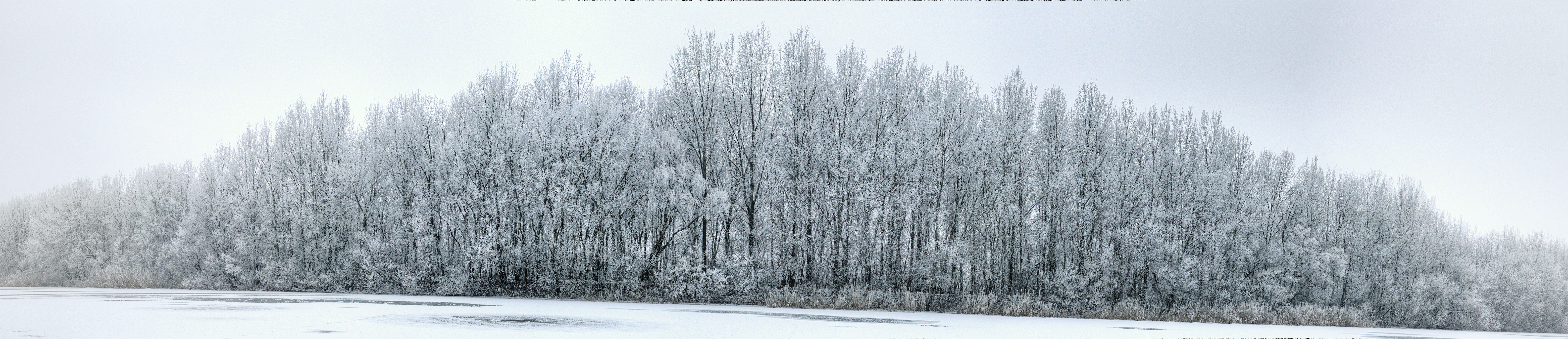 Begej Panorama 1.jpg