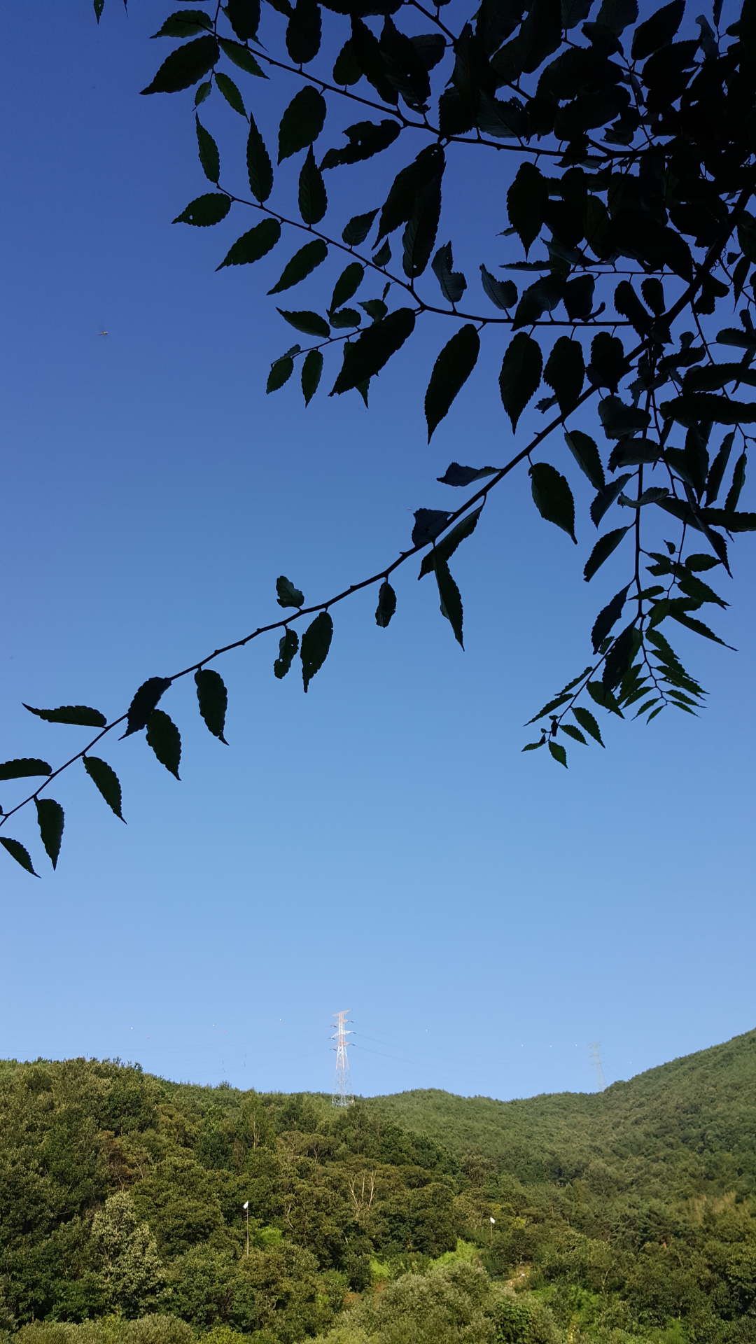 Screenshot_20180715-184632.png