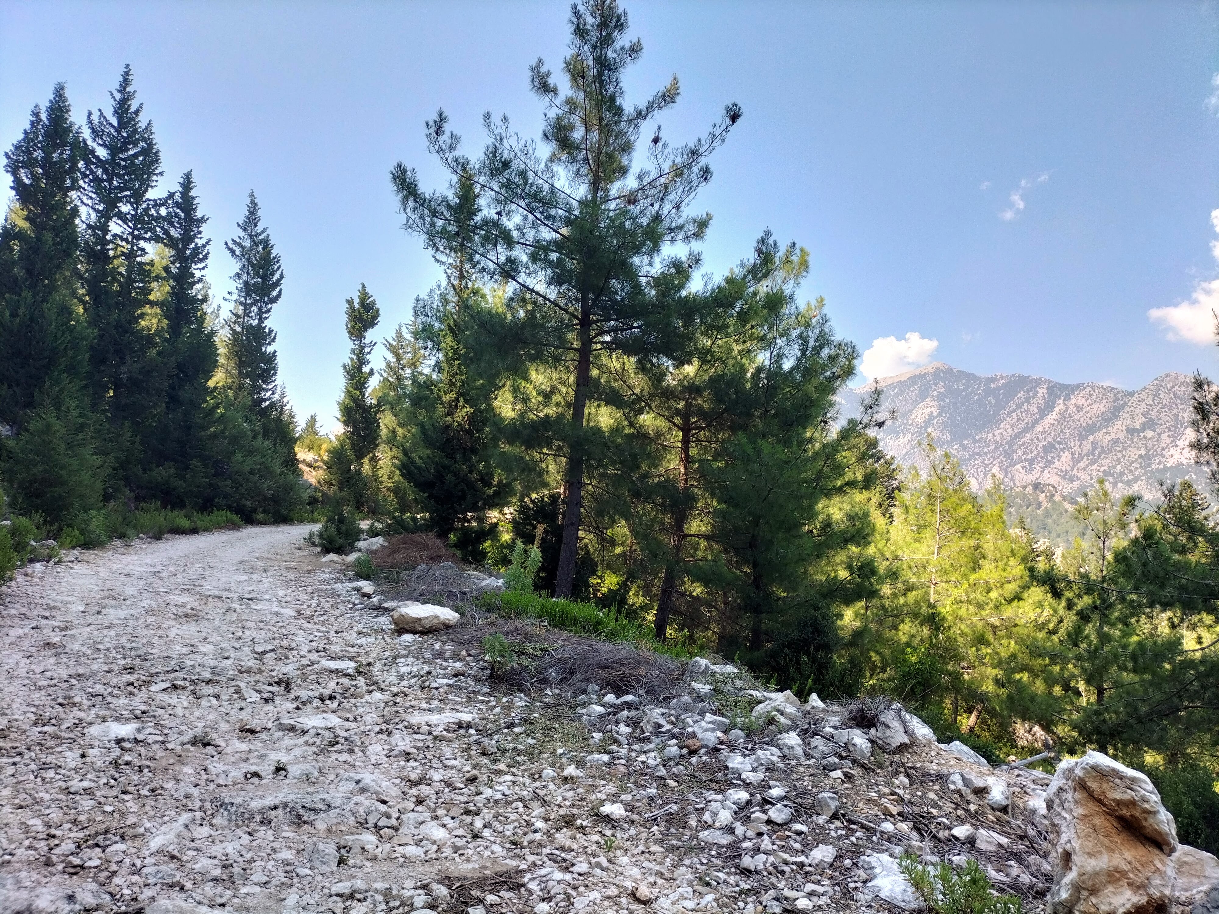 IMG20220707152815 (1).jpg