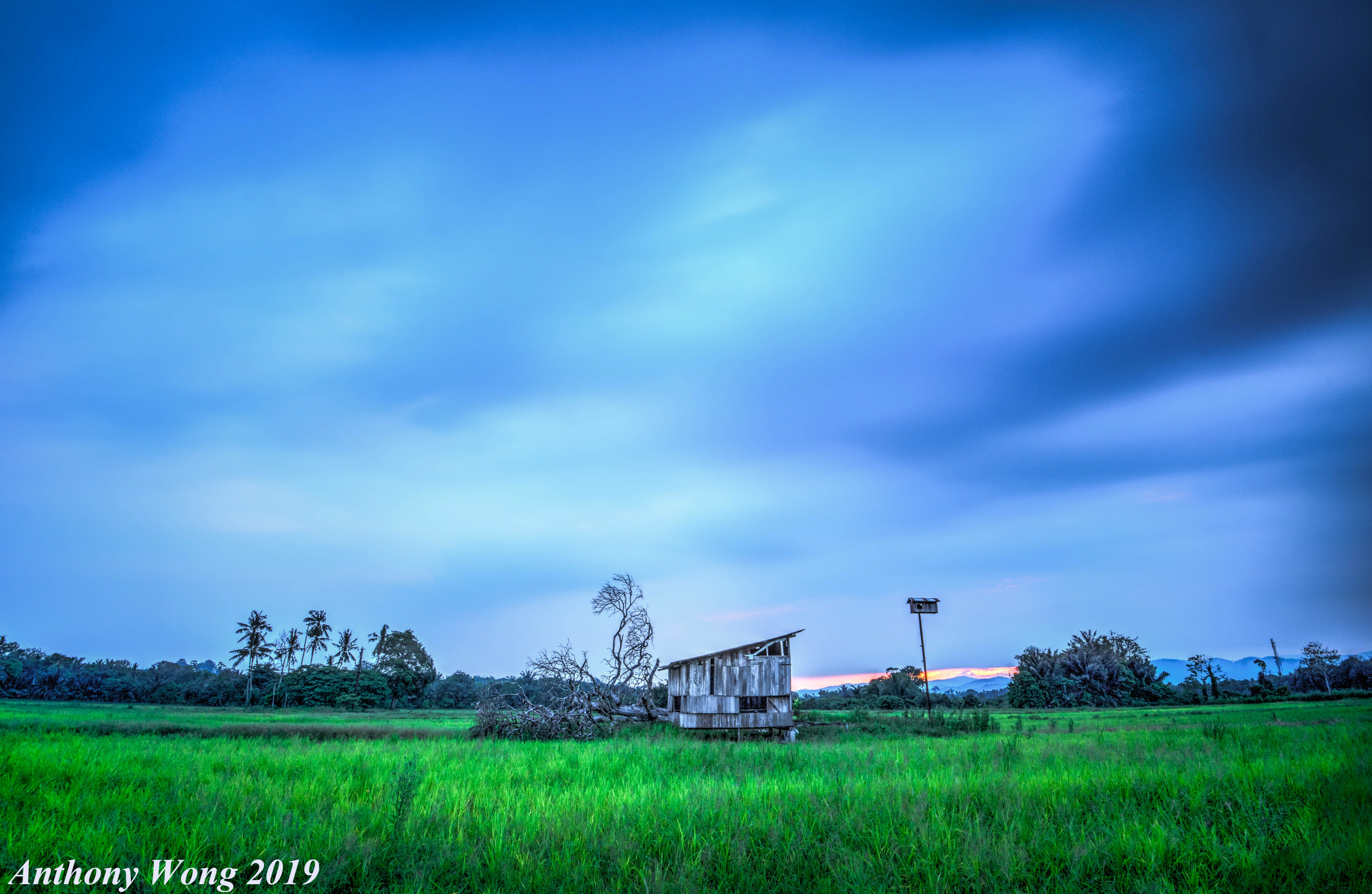 DSC_0012_meitu_10.jpg