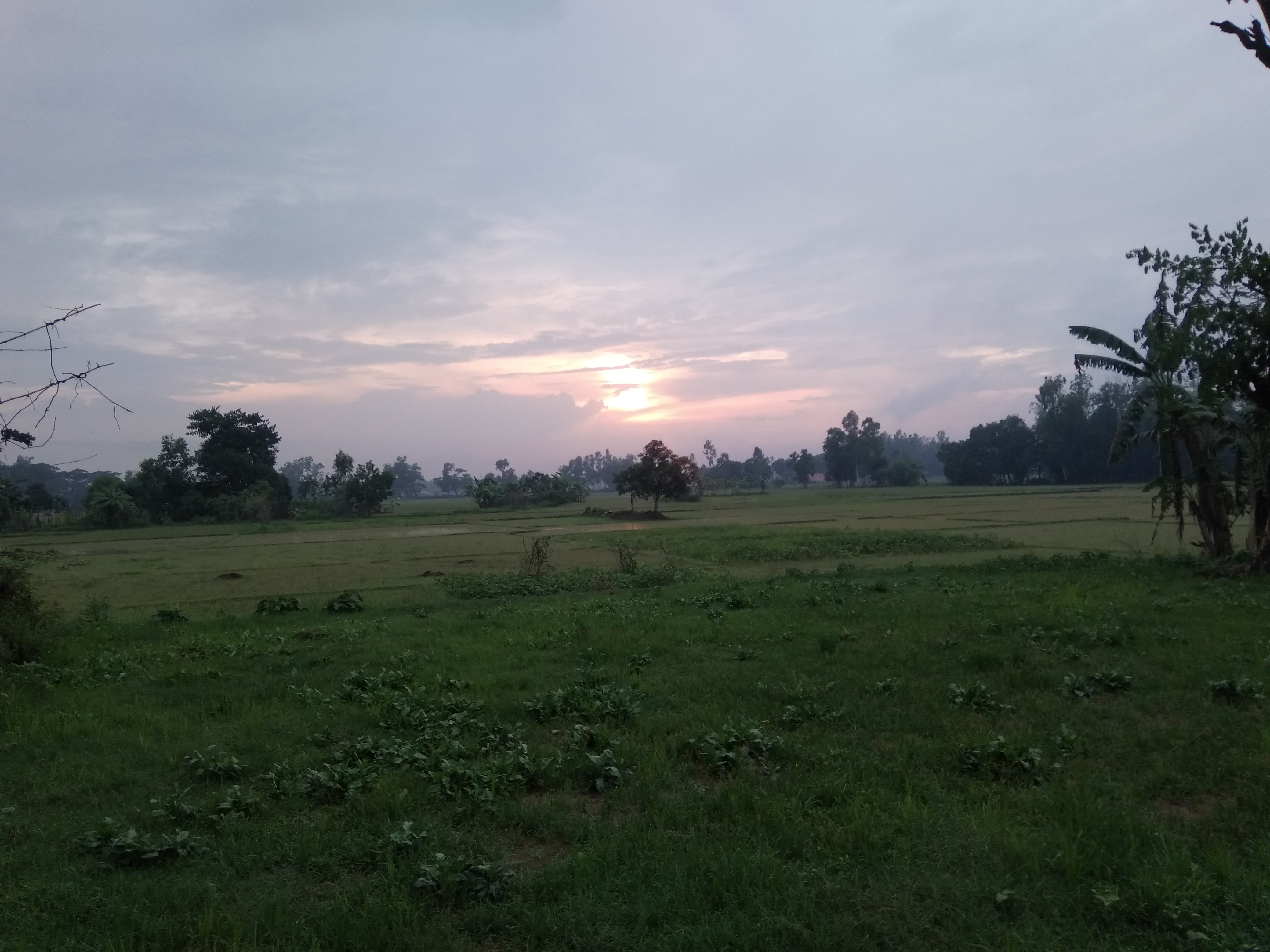 IMG_20180604_180539.jpg