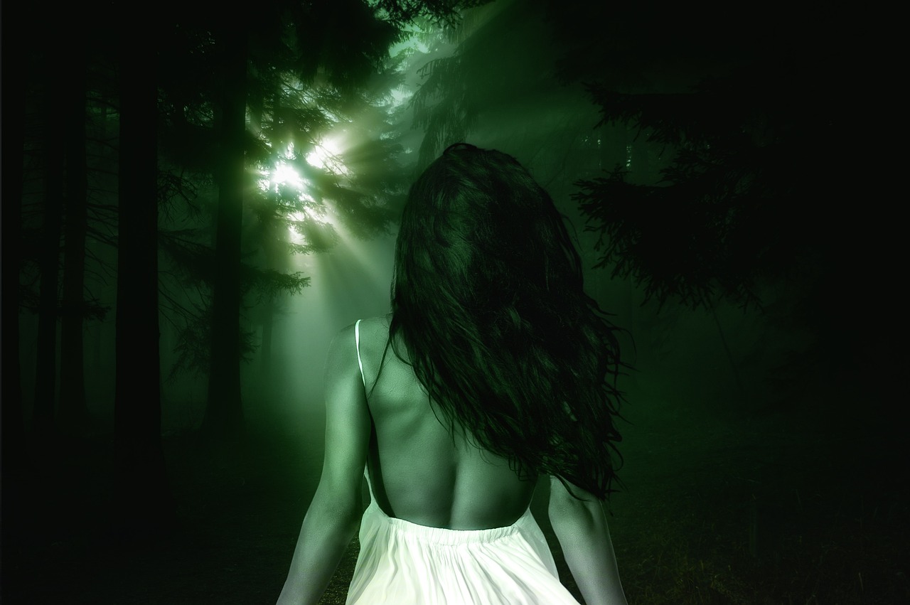 forest-3885329_1280.jpg