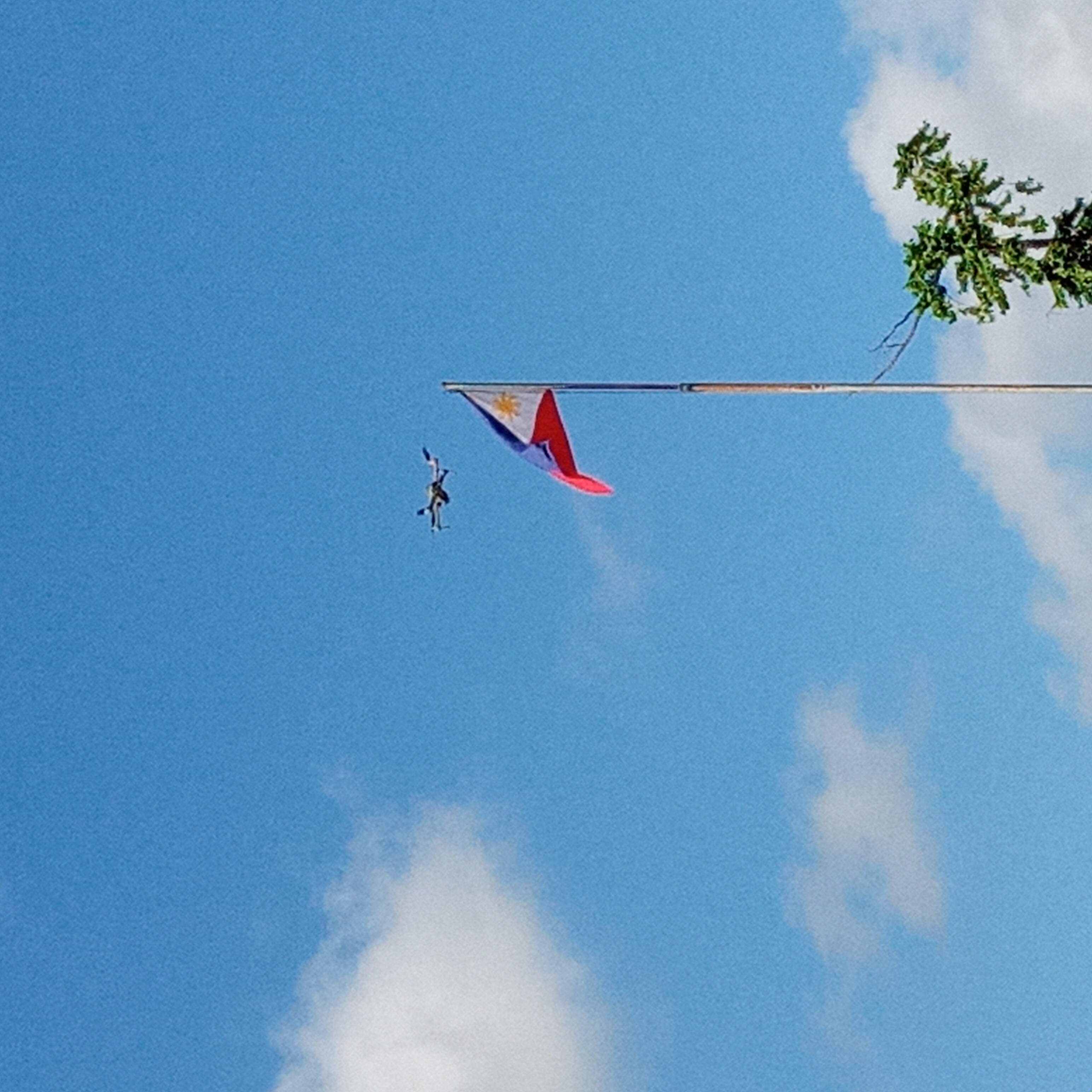 20210617_080833.jpg