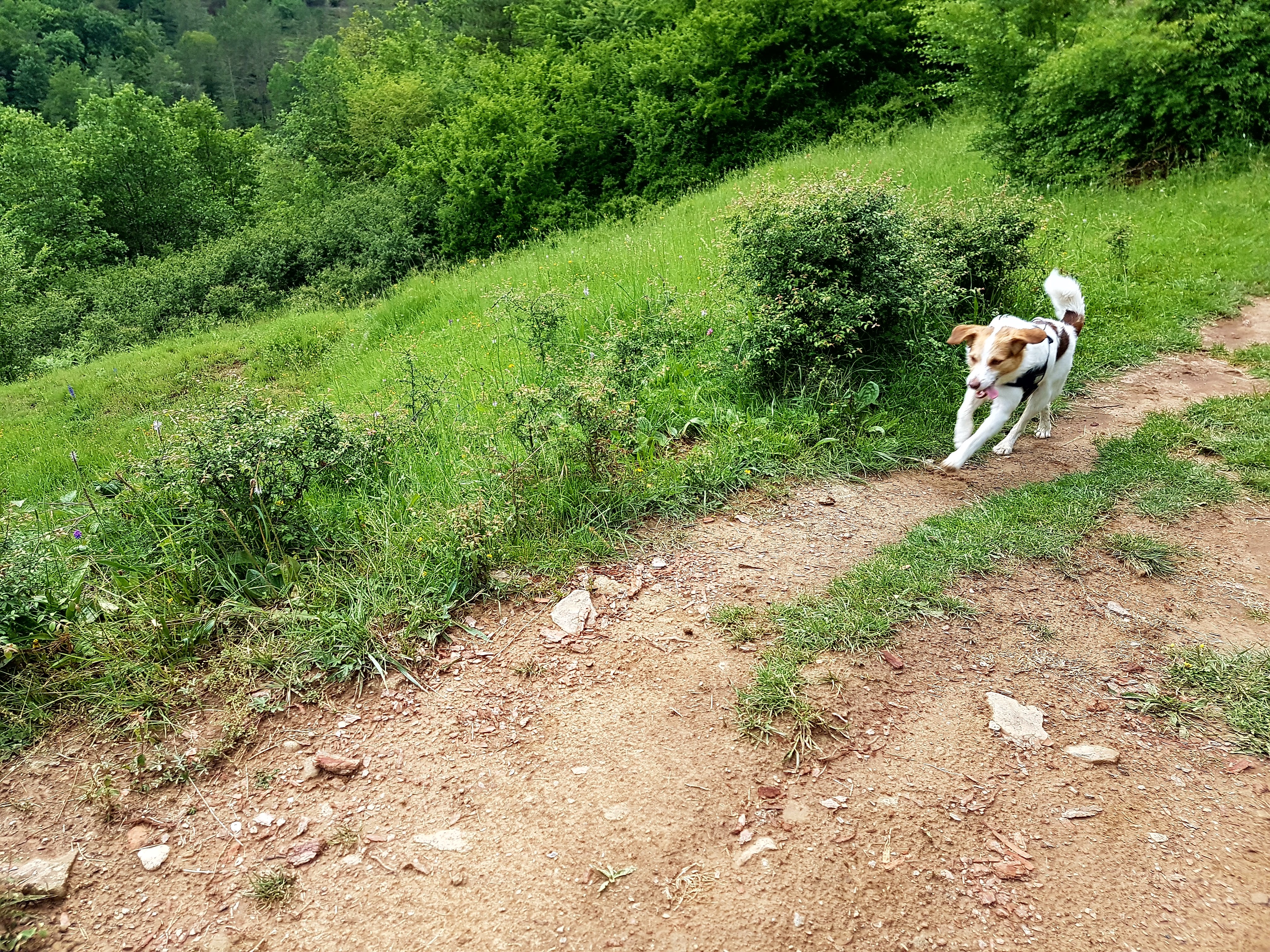 20170601_192525.jpg