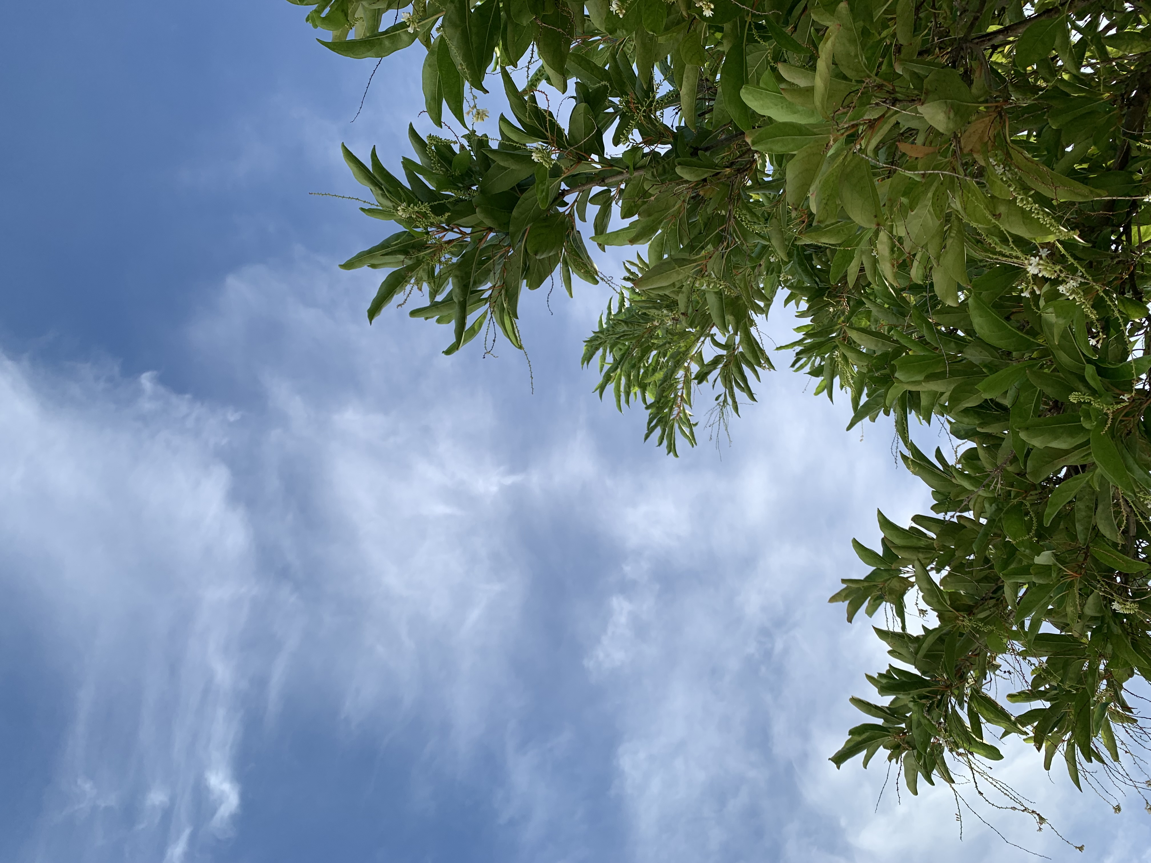 nature808.jpg