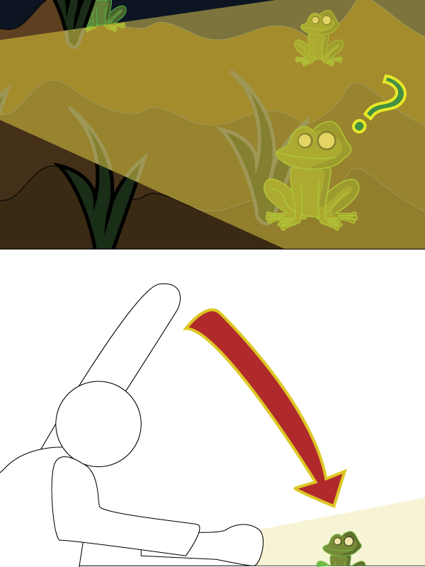 frogggy-2.png