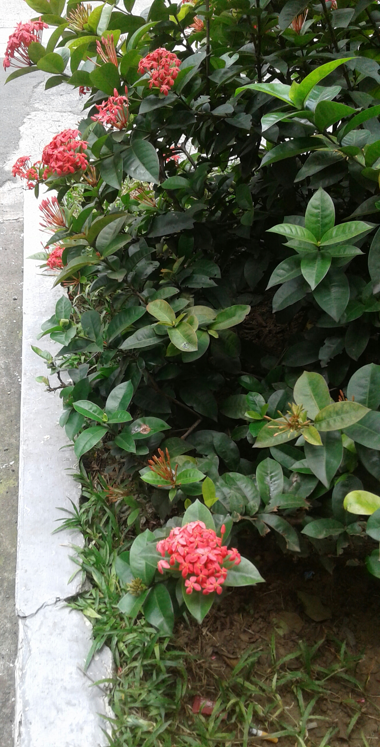 20190819_130931-1.jpg
