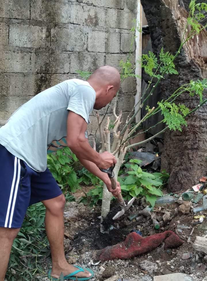 received_696879294859348.jpeg