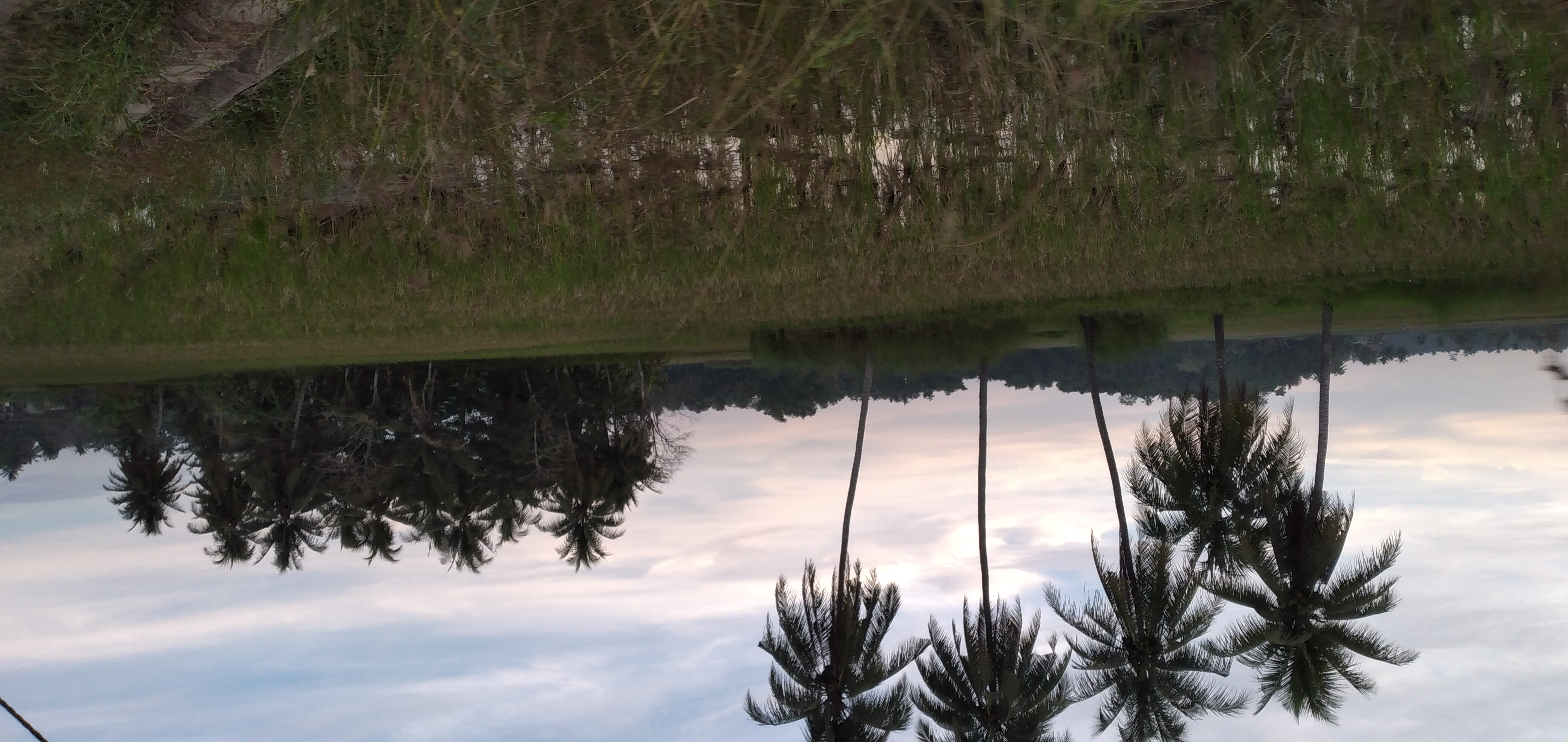 20230205_181451.jpg