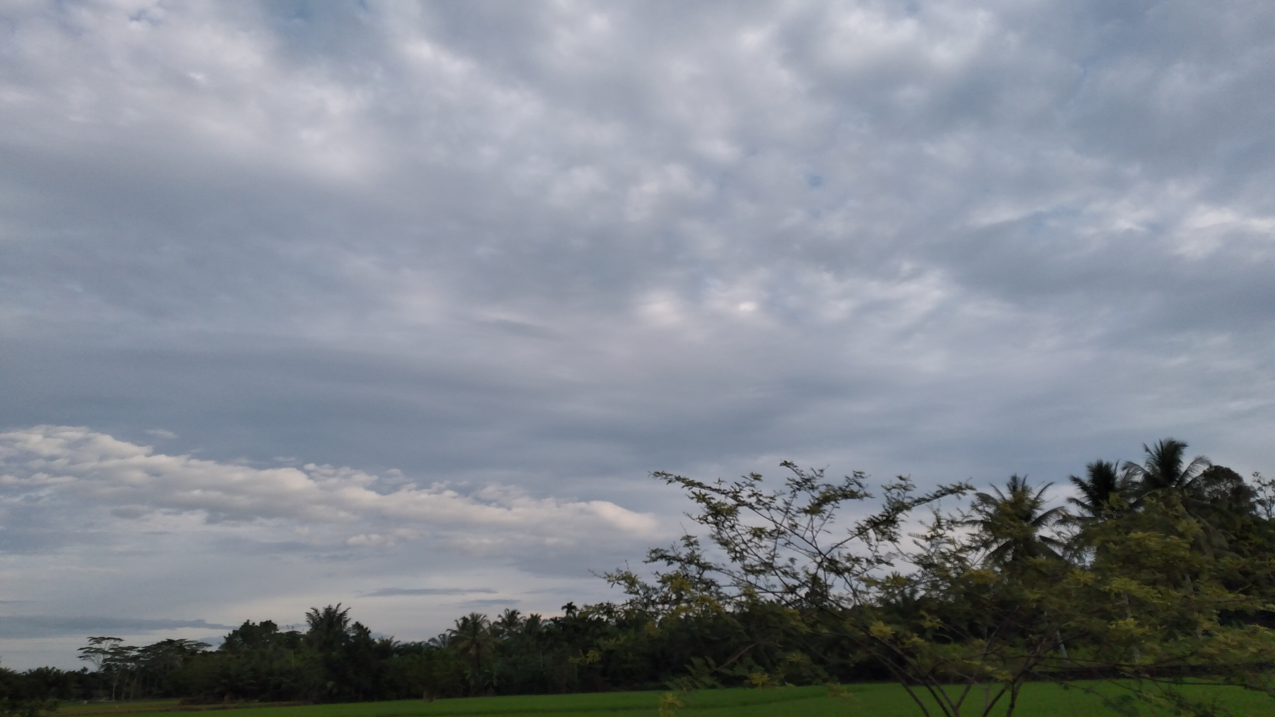 20220924_070356.jpg