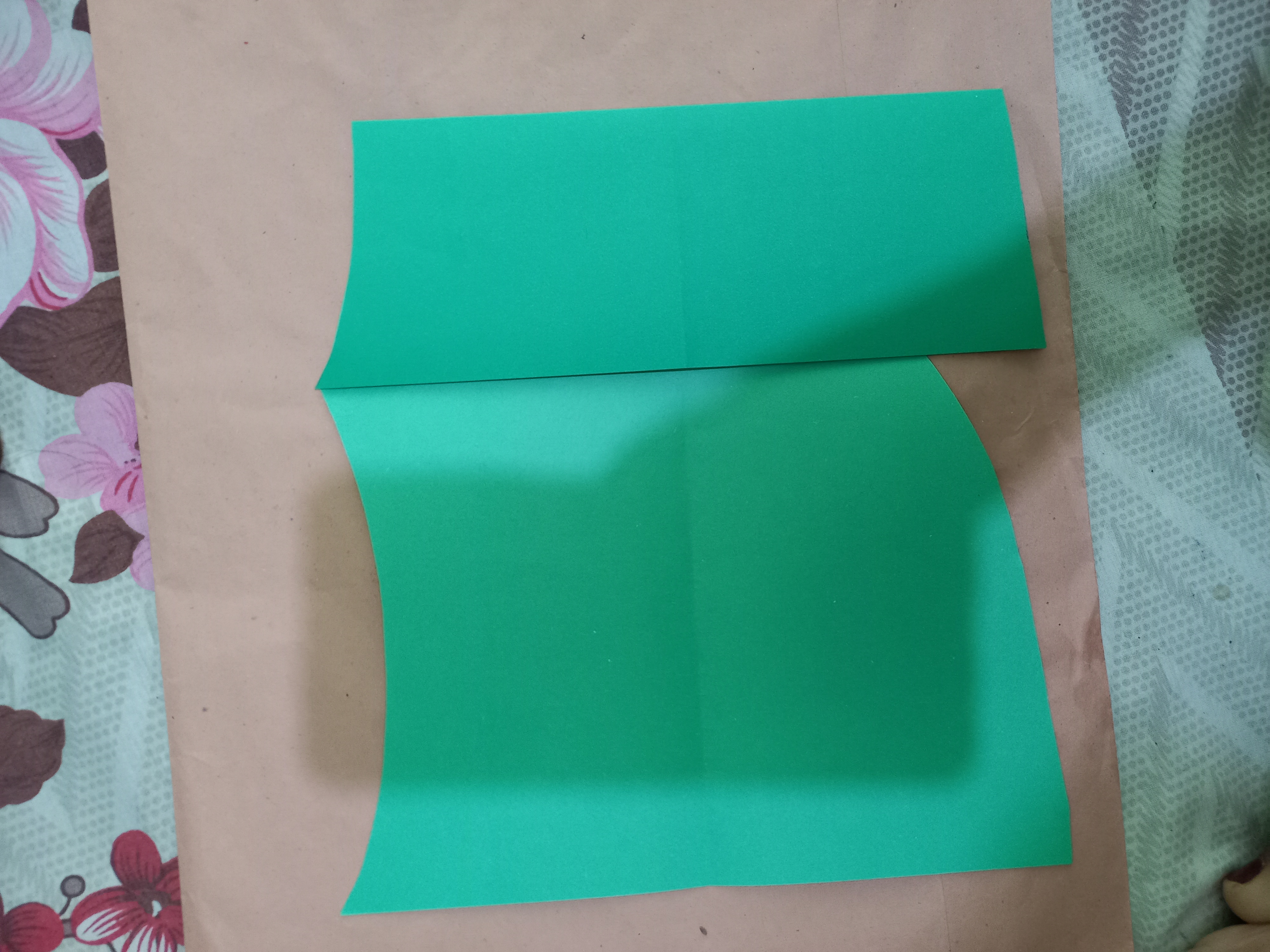 20220126_110459.jpg