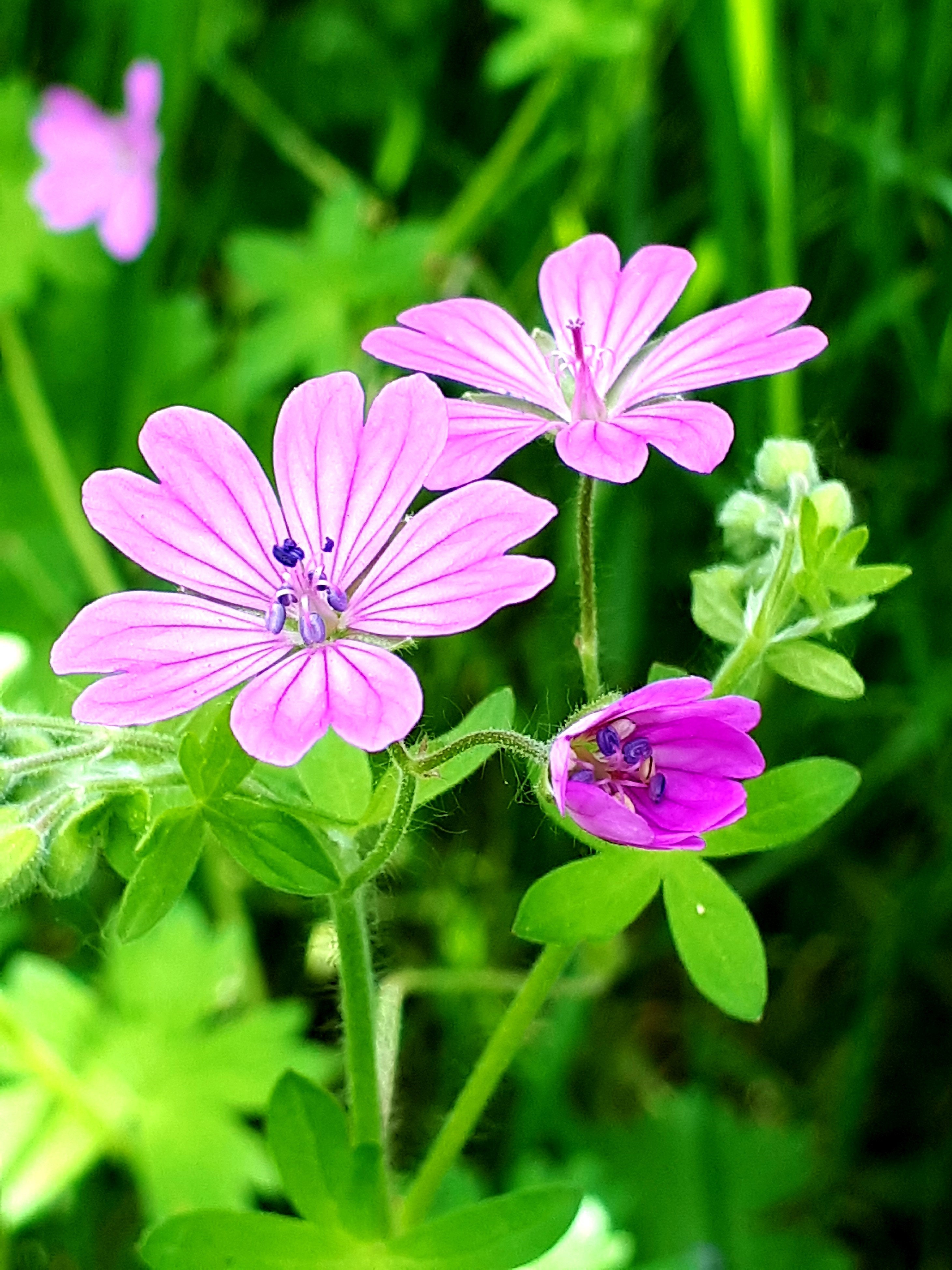 20190520_183844.jpg