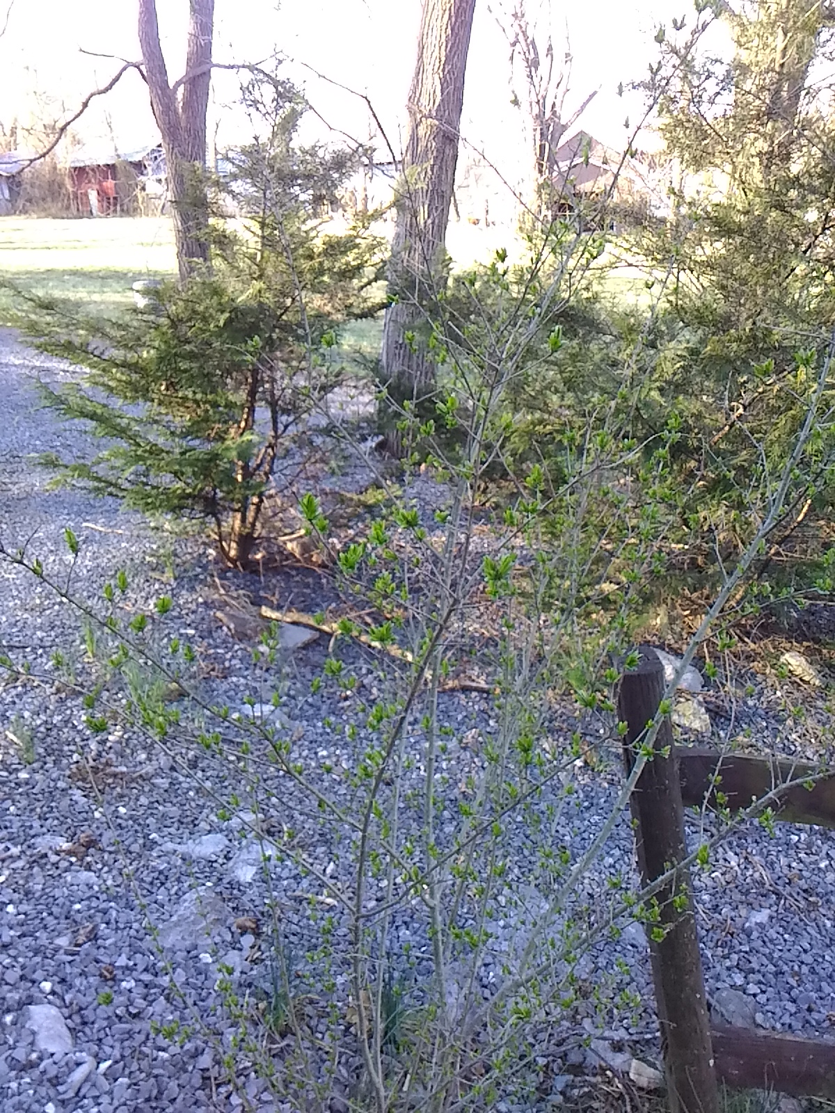 P_20190316_090429_LL.jpg