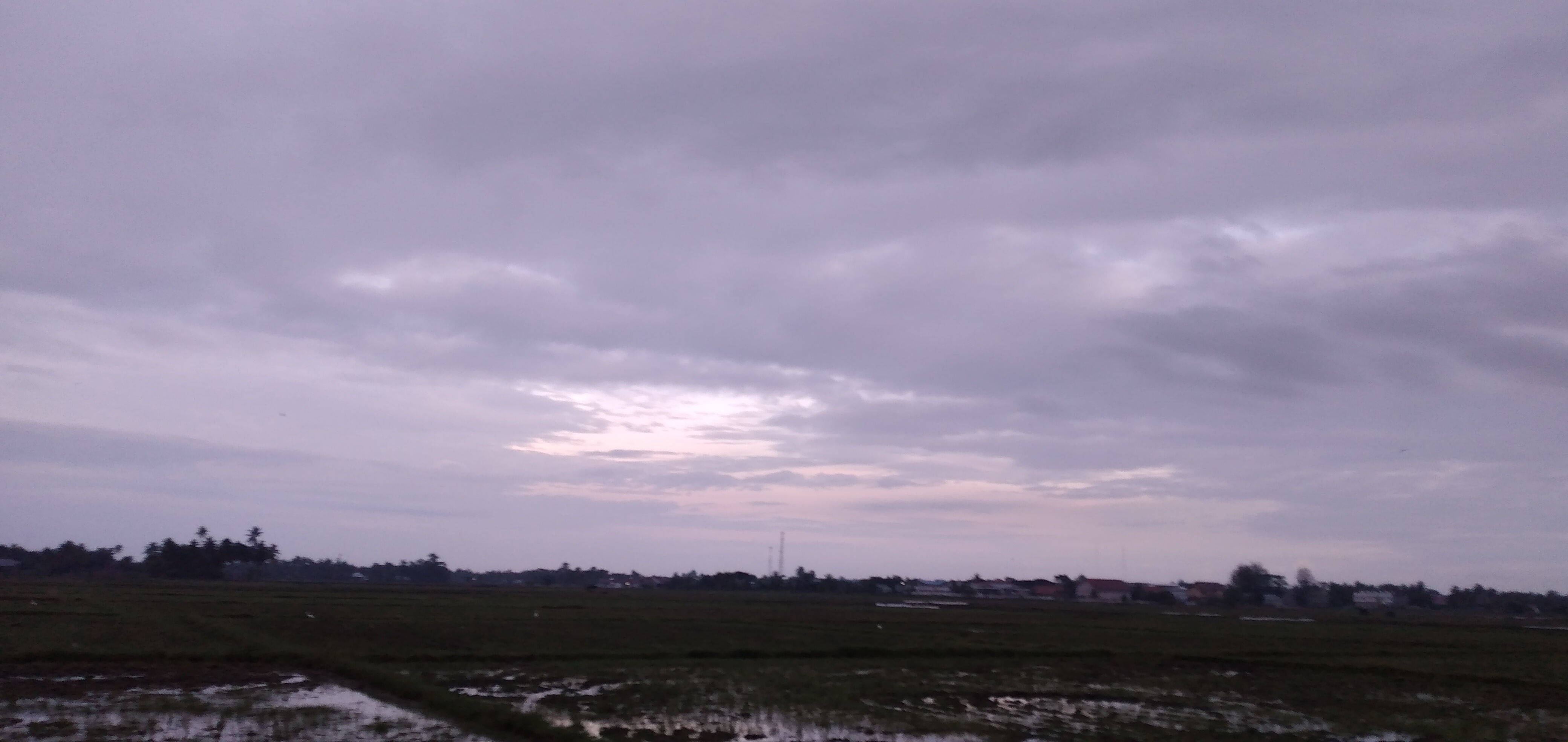 20221216_064241.jpg