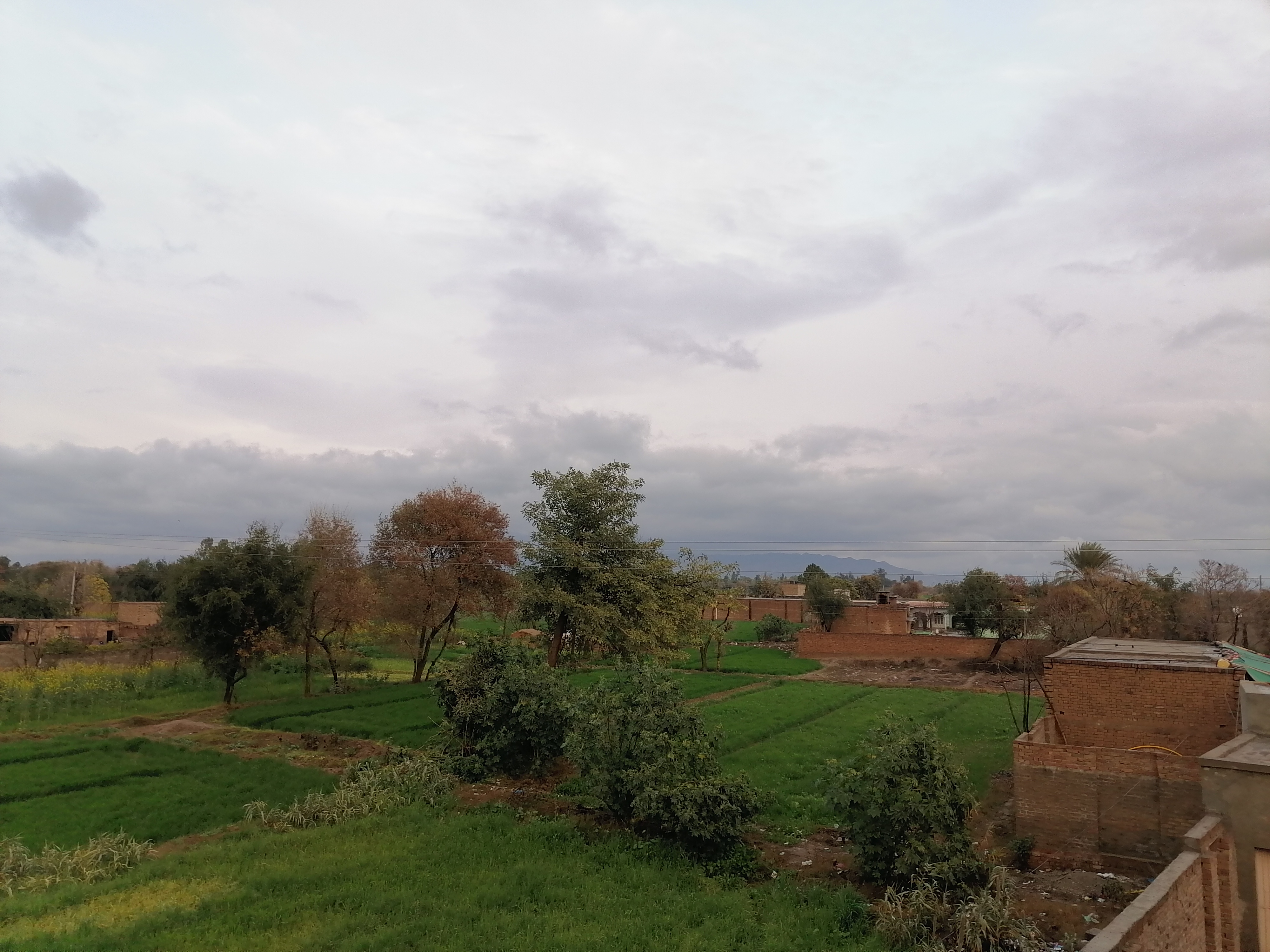 IMG_20220122_171808.jpg