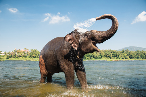 Steemit profile picture for @kerala