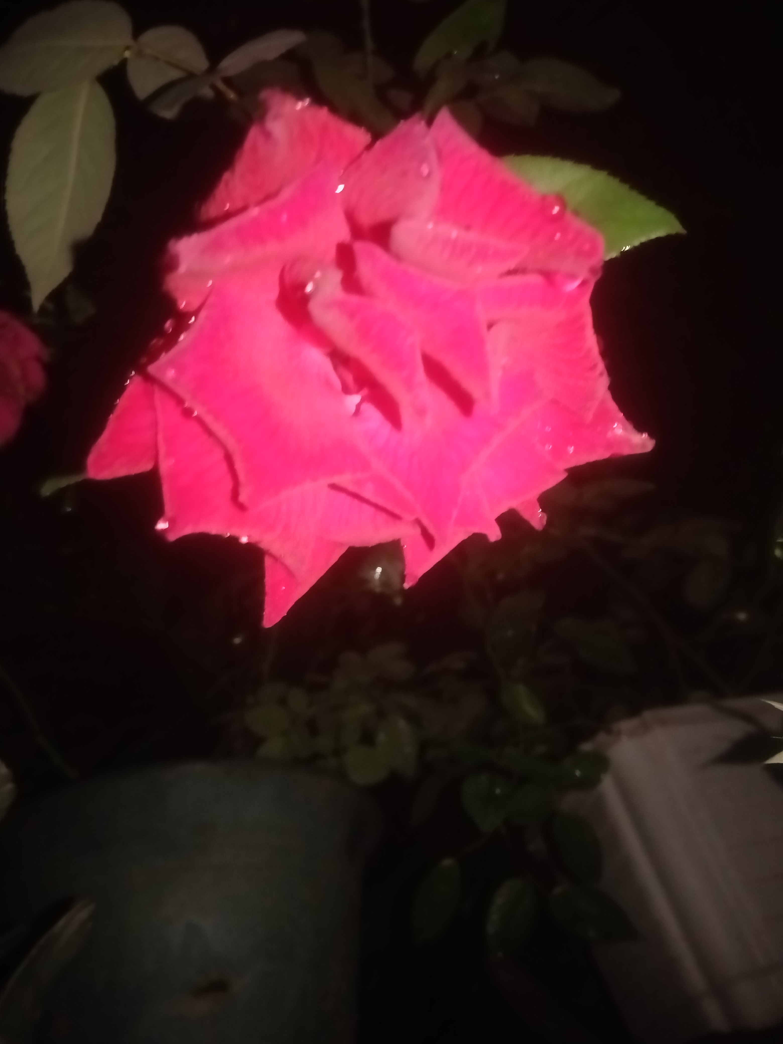 IMG20210626200329.jpg
