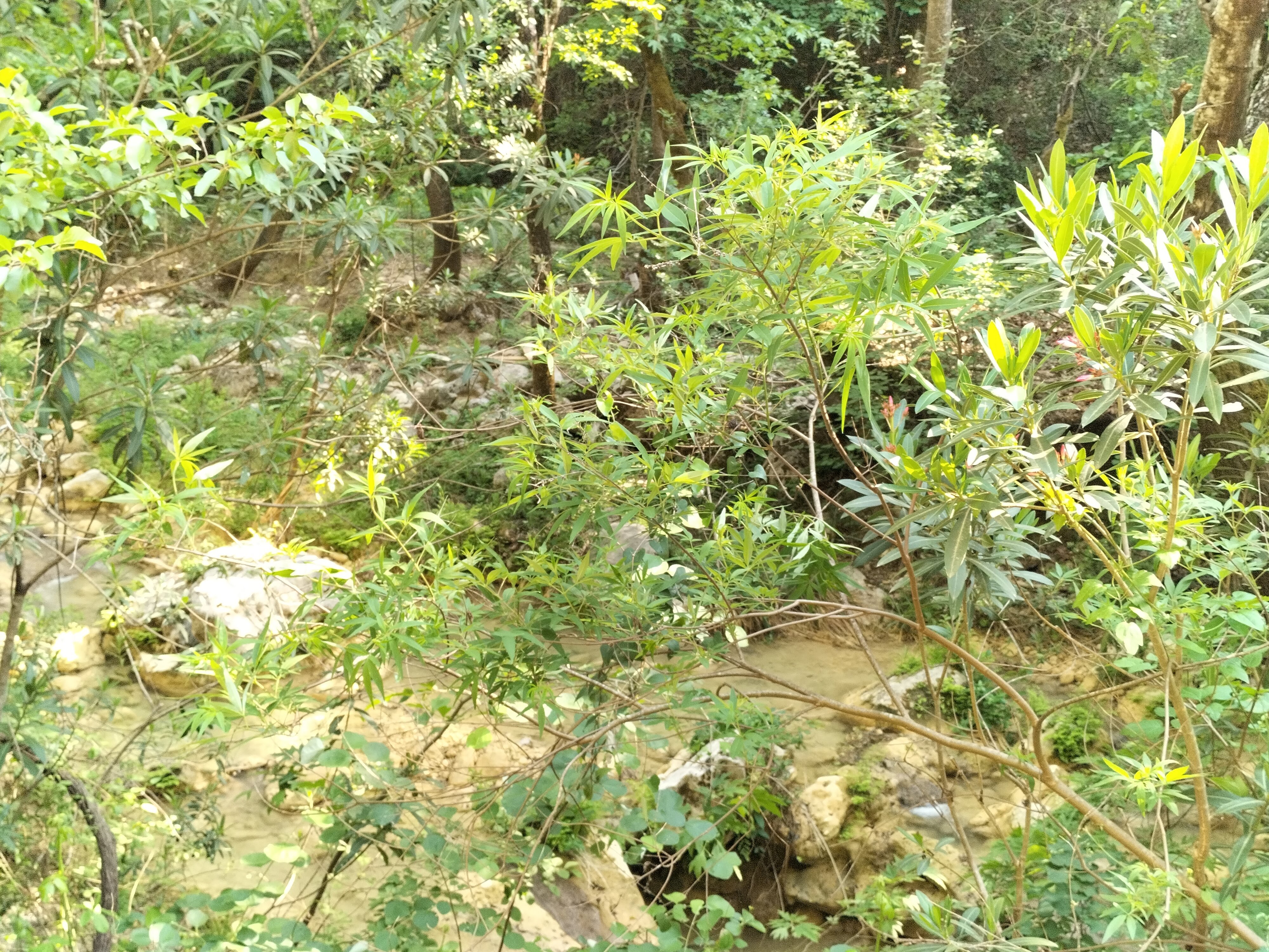 IMG20220520165439.jpg