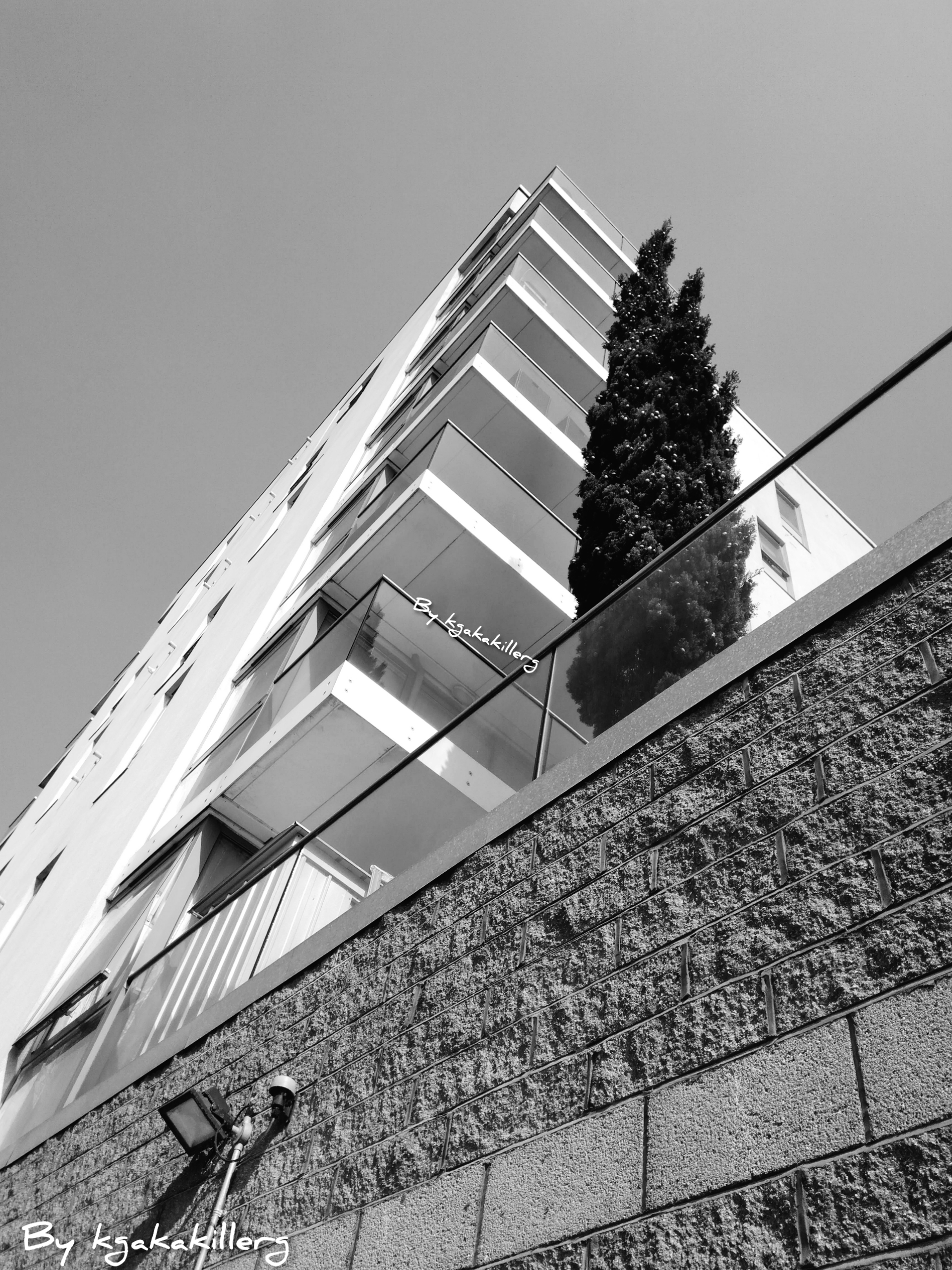 InShot_20200326_214343044.jpg