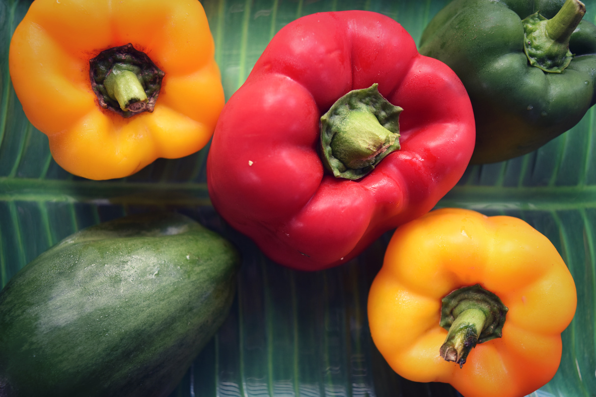 BELL_PEPPER.jpg