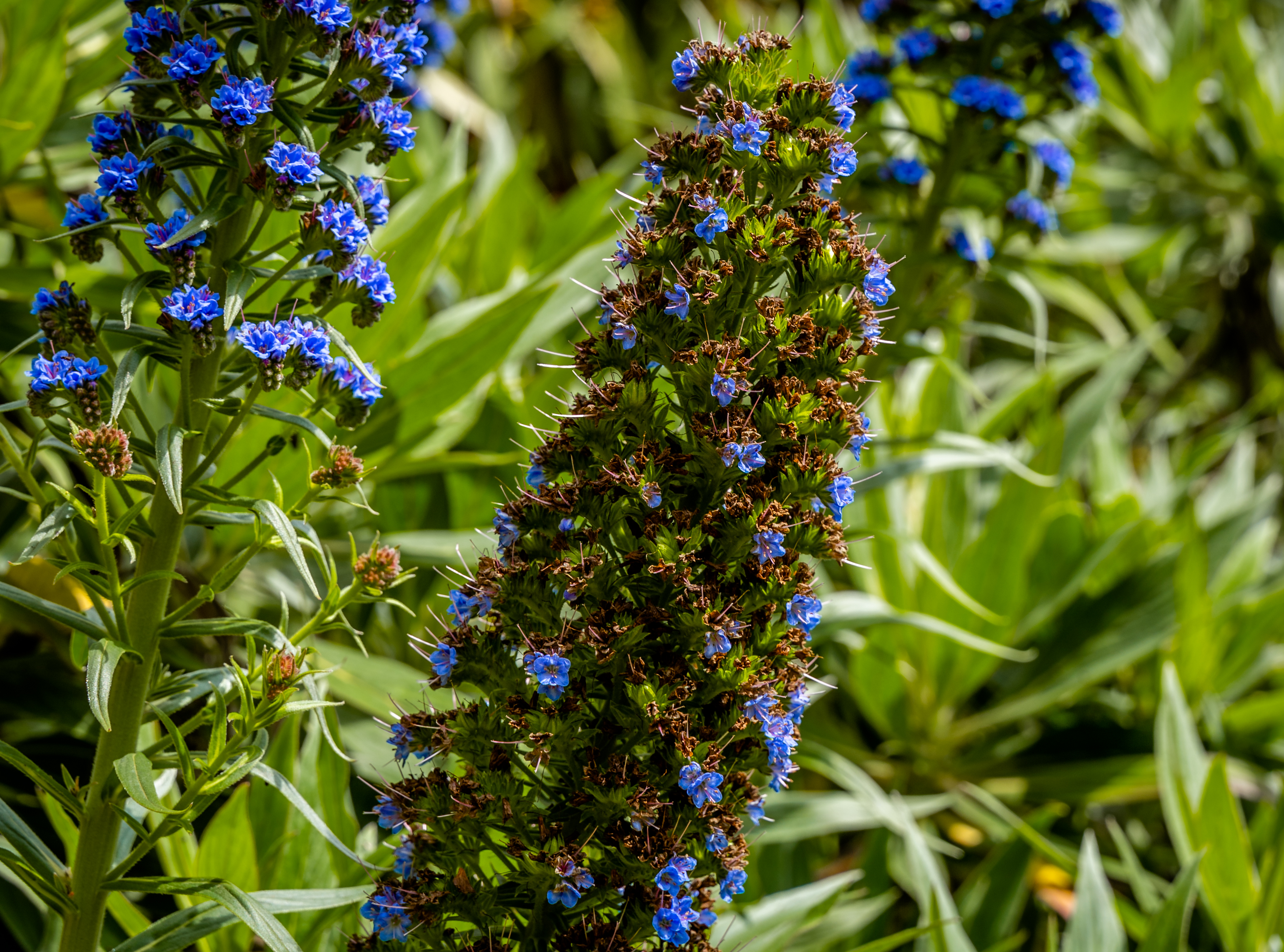 _DSC3001-Edit.jpg