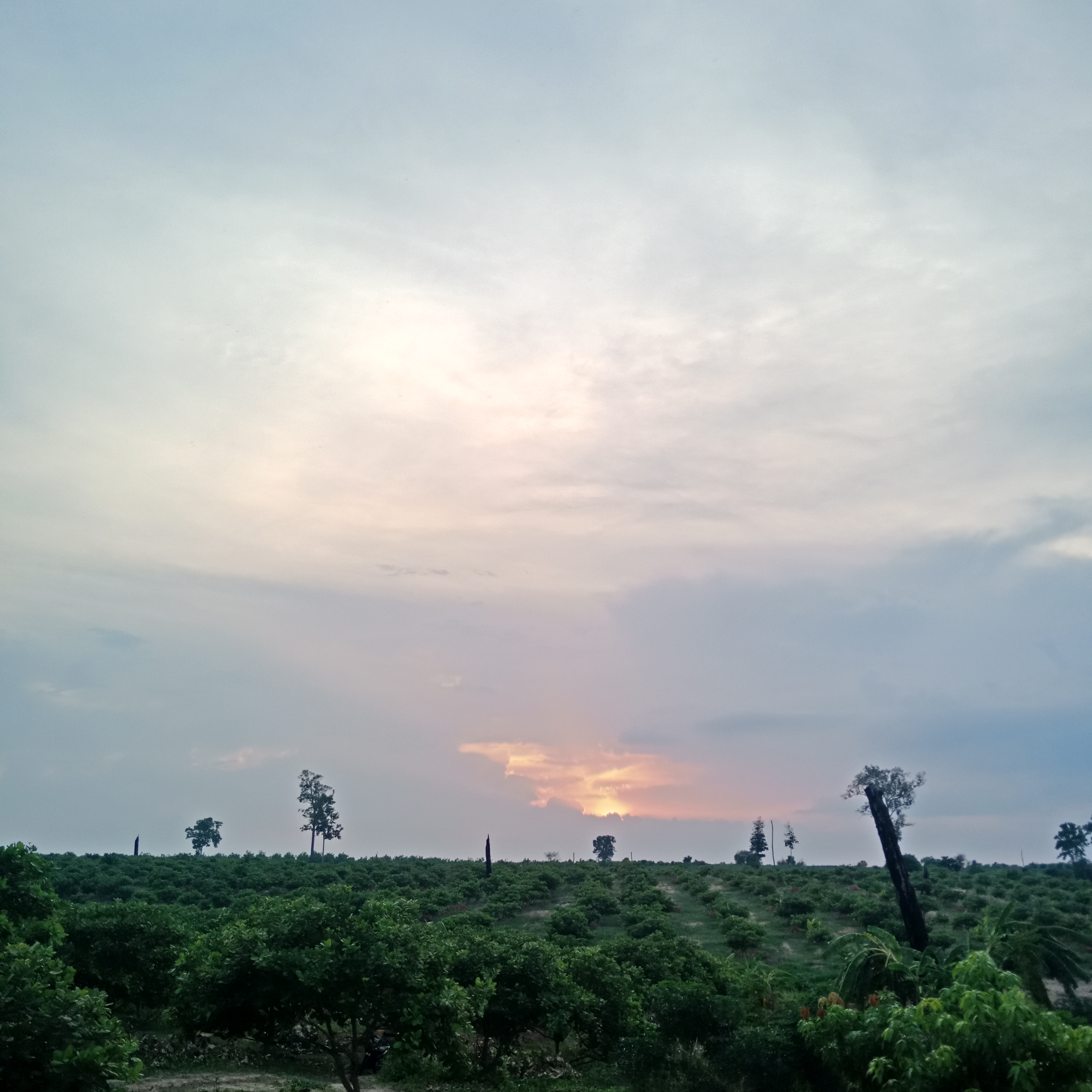 IMG20190503180320.jpg