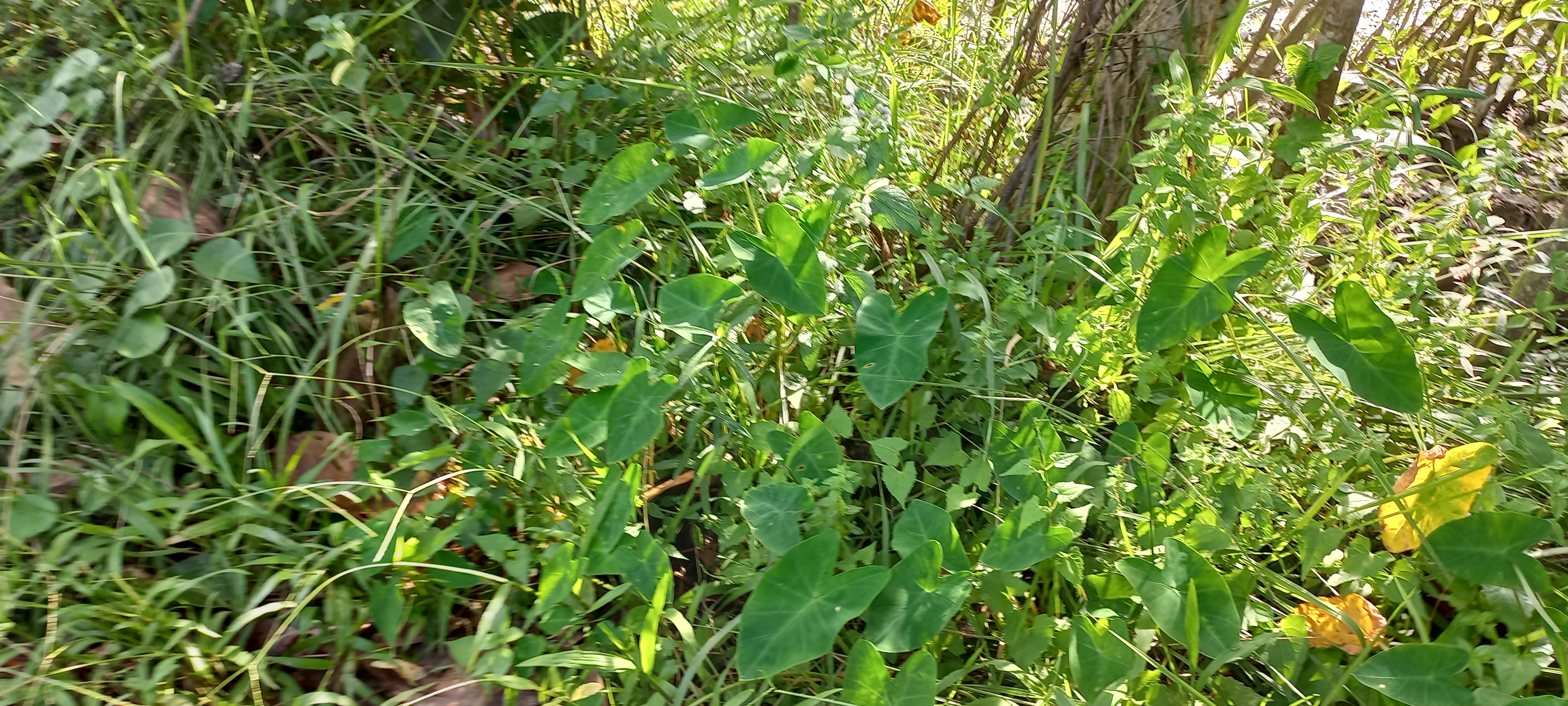 20220915_154127.jpg