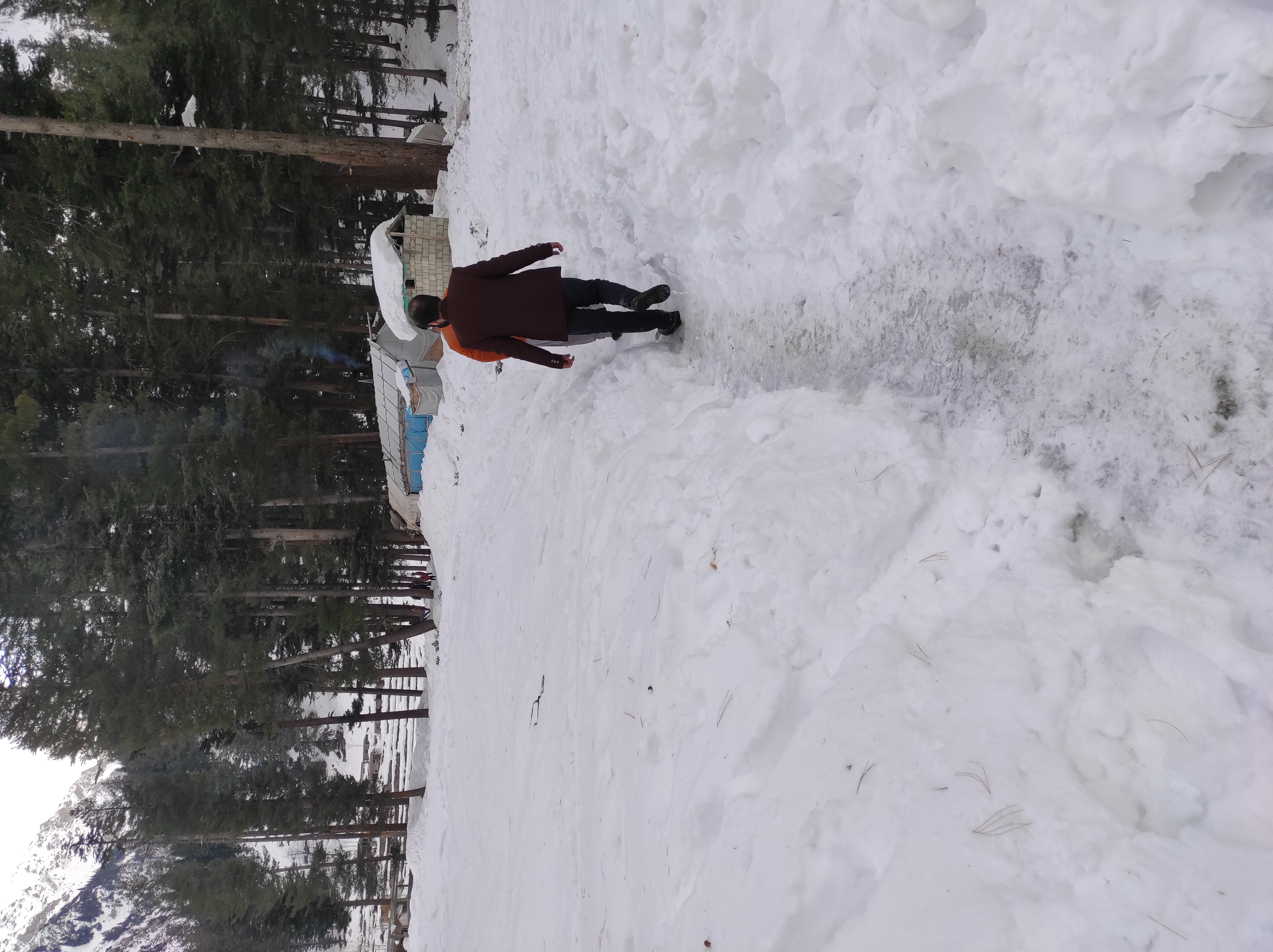 IMG_20201228_153434.jpg