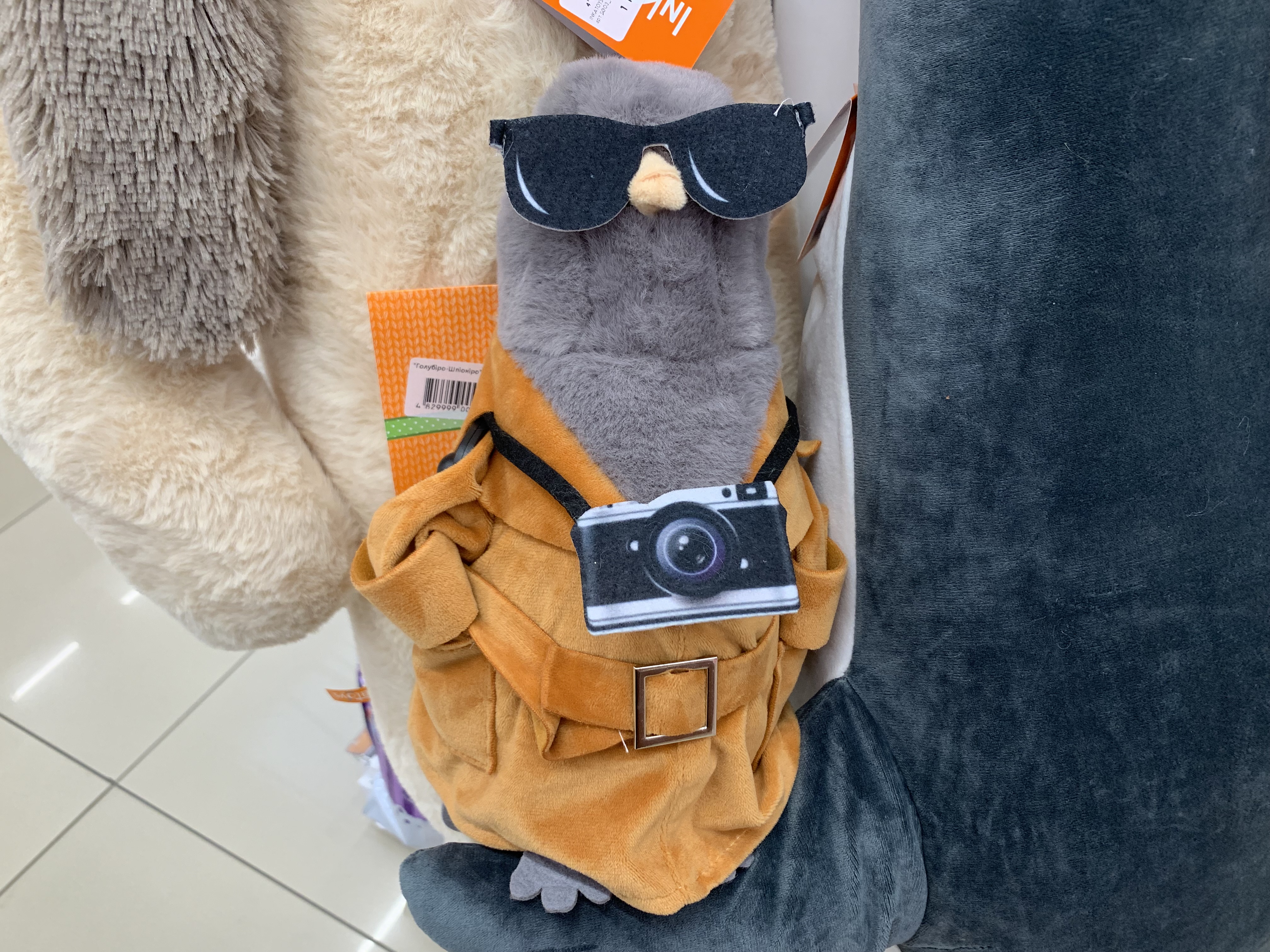 image.jpeg