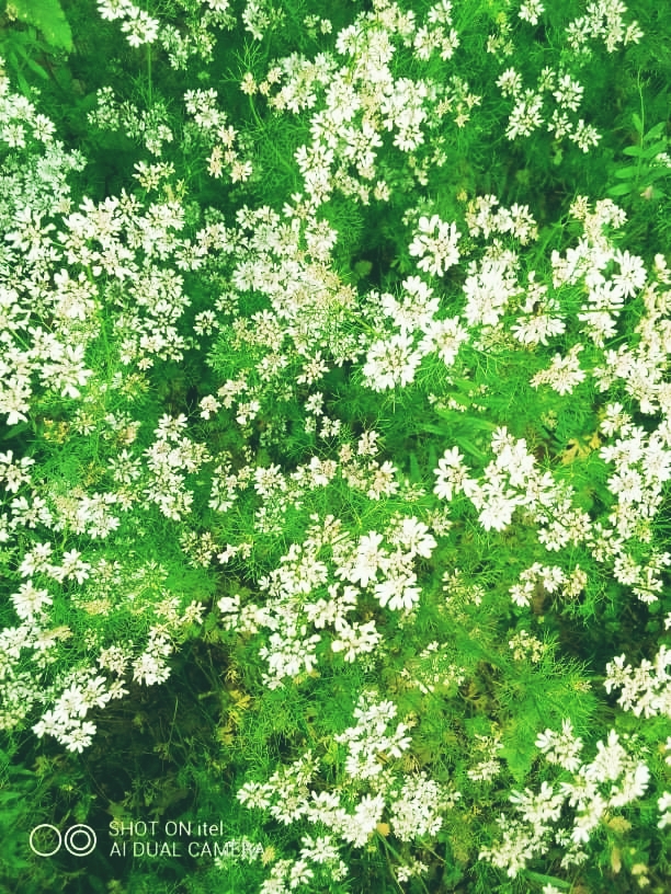 Polish_20220110_233015505.jpg