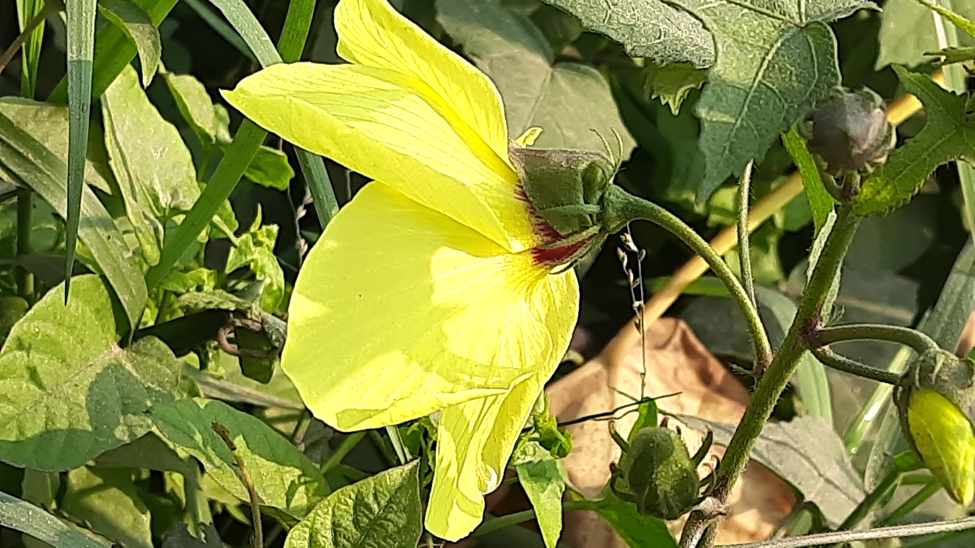 20201203_101652.jpg
