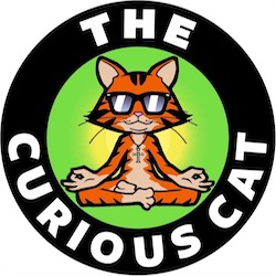 TheCuriousCat 2.jpg