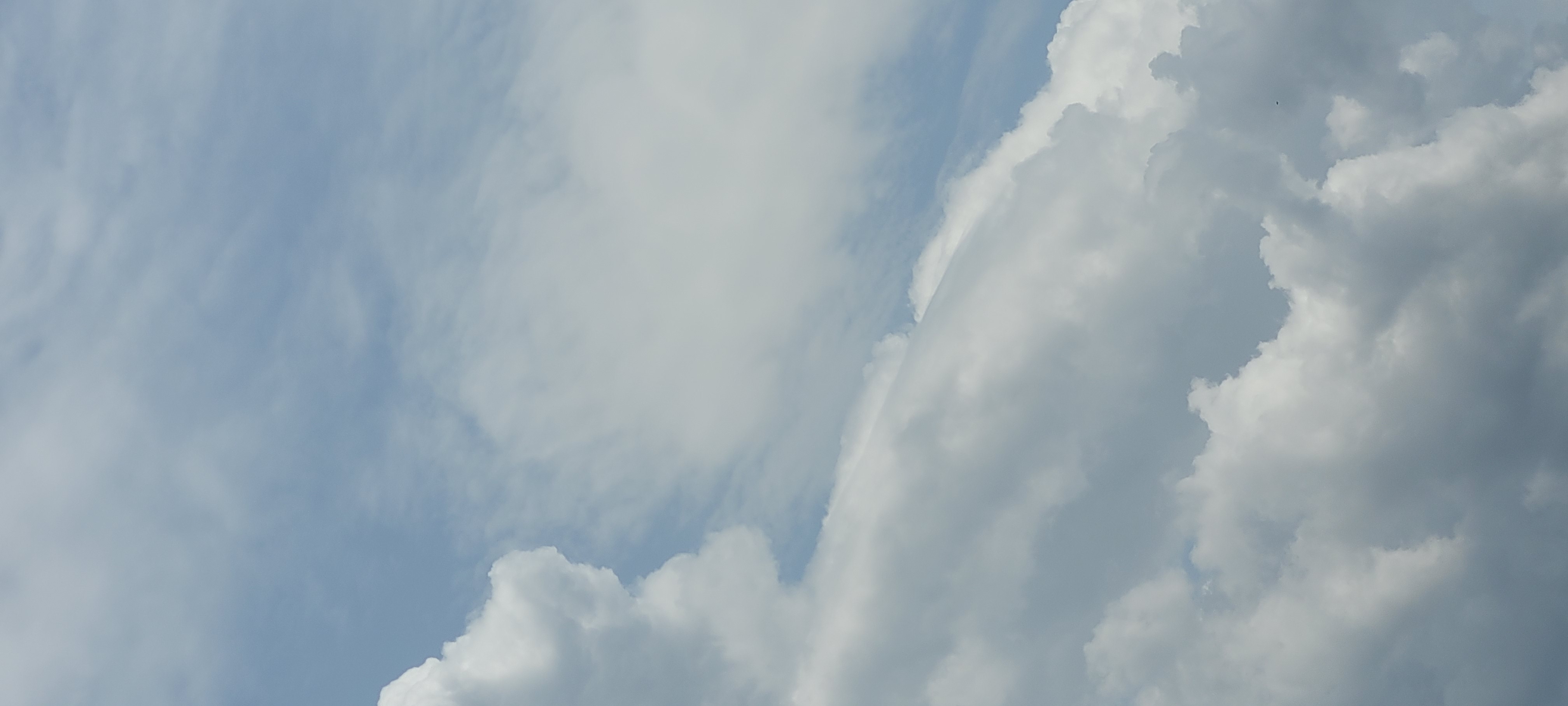 17441963926281013165098202198068.jpg