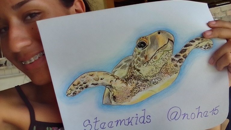 Dibuja una tortuga 13.jpg