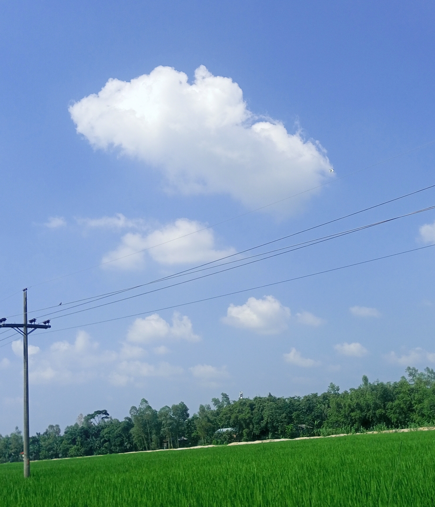 IMG_20221001_133954_191.jpg