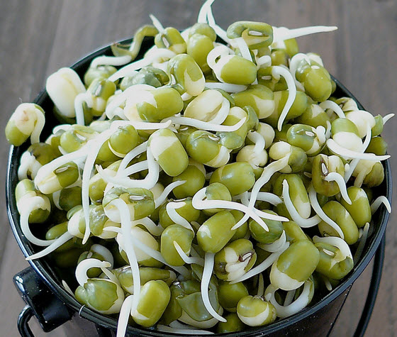 green-gram-sprouts.jpg