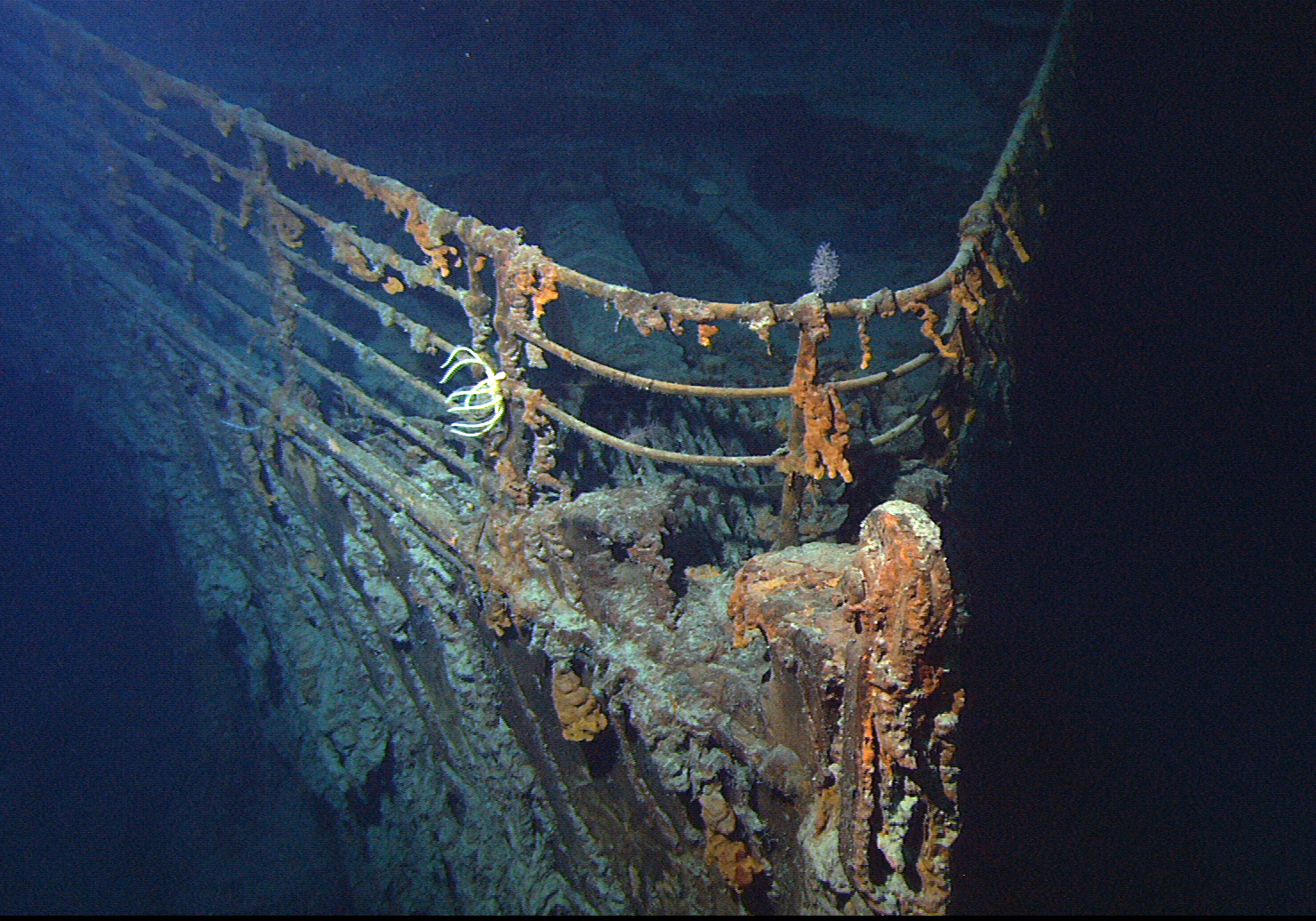 Titanic_wreck_bow.jpg