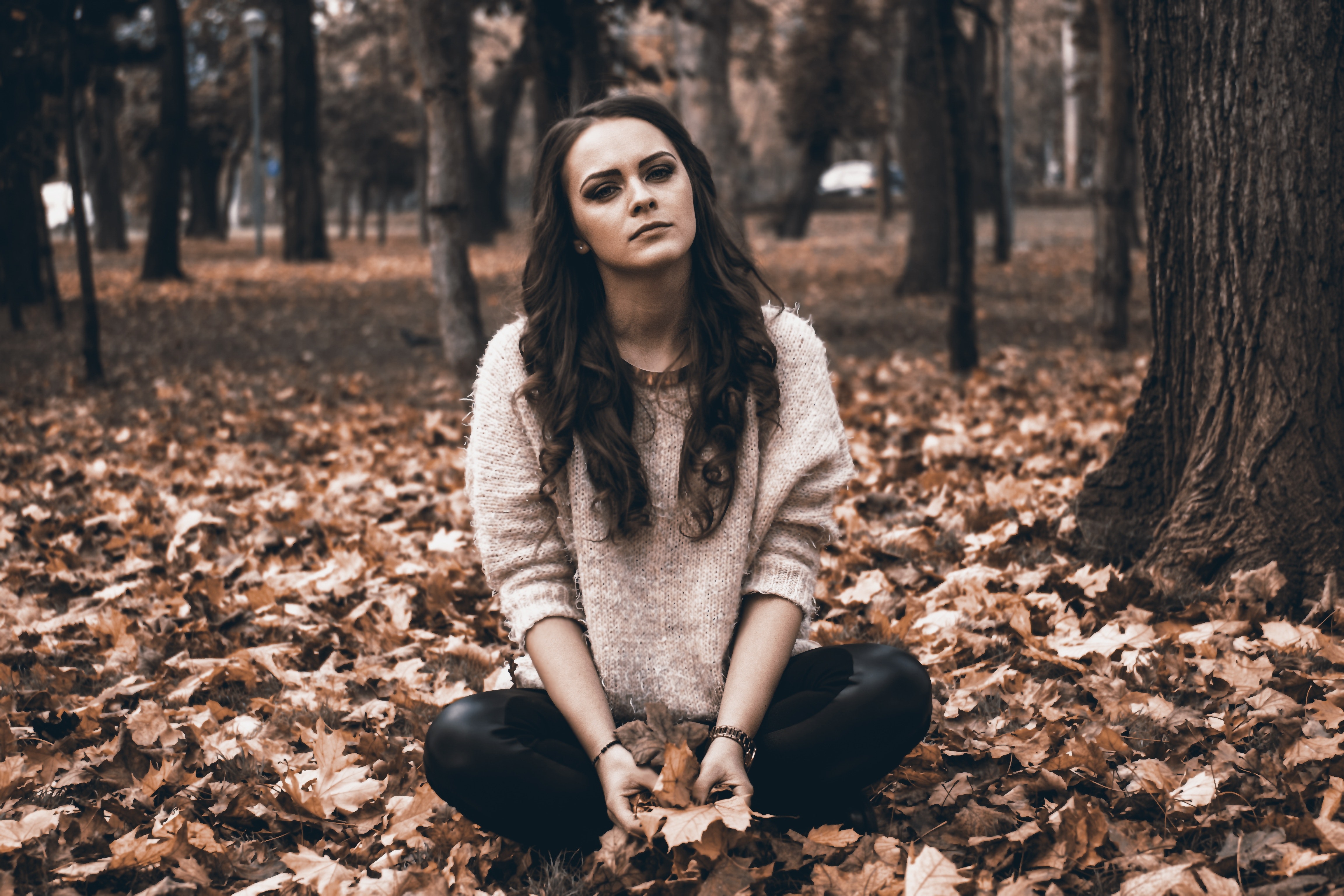 pexels-pixabay-326603 (1).jpg