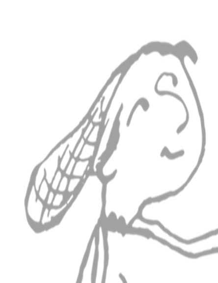 Imagen2.png