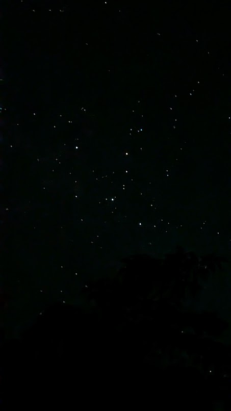 PXL_20260808_165344078.jpg