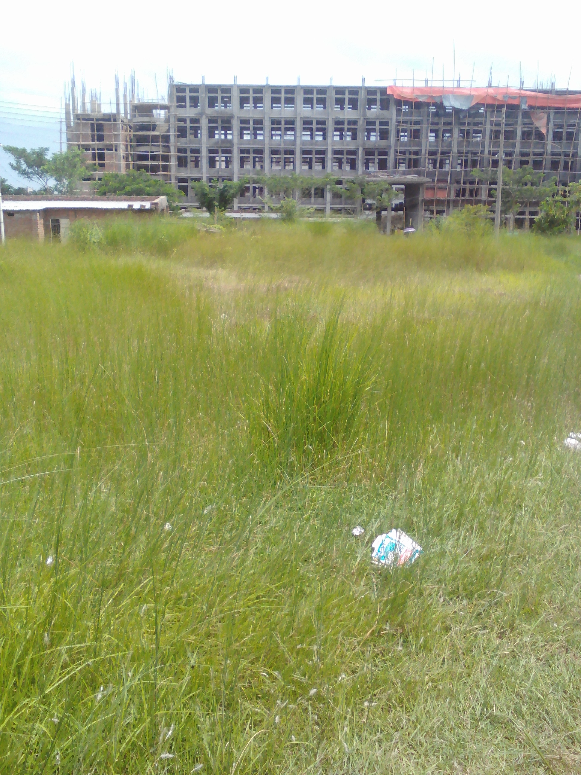 Lenovo_A1000_IMG_20180710_125531.jpg
