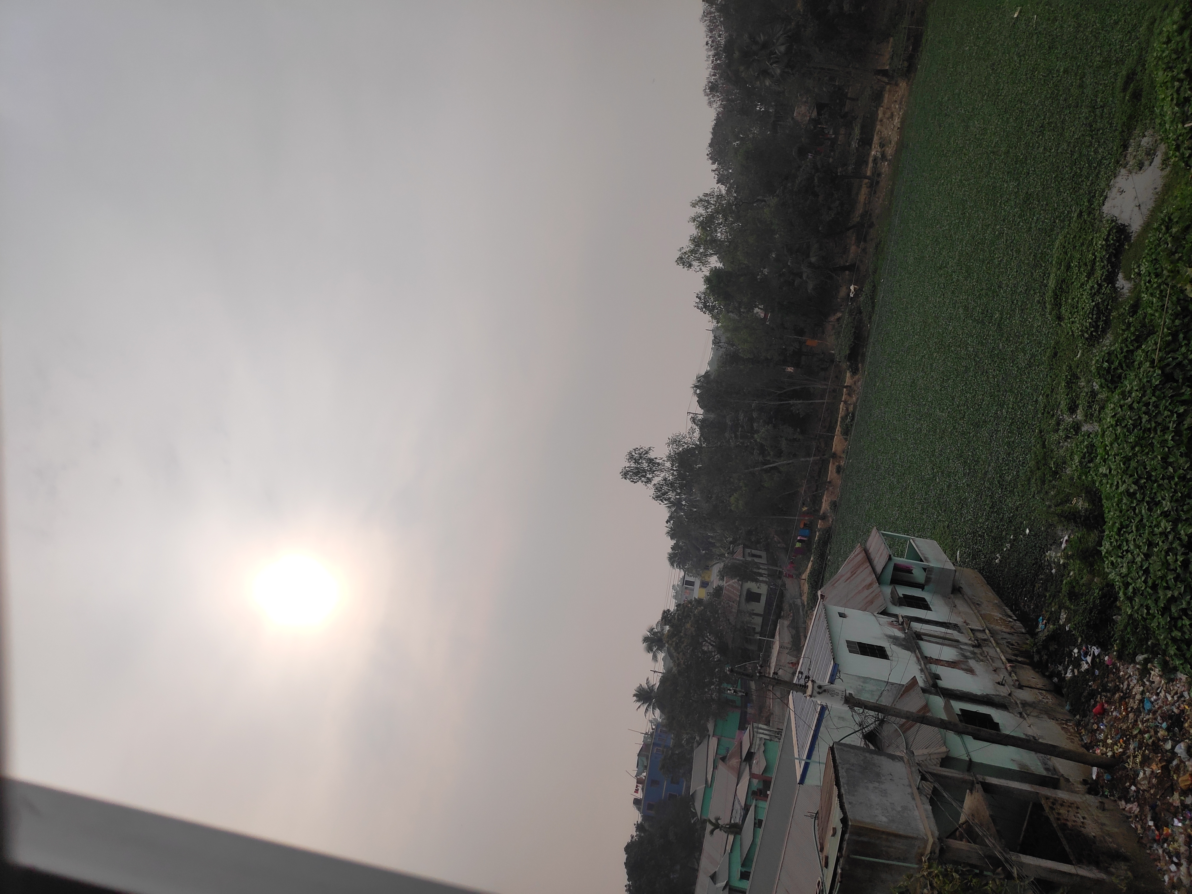 IMG_20210219_155504.jpg