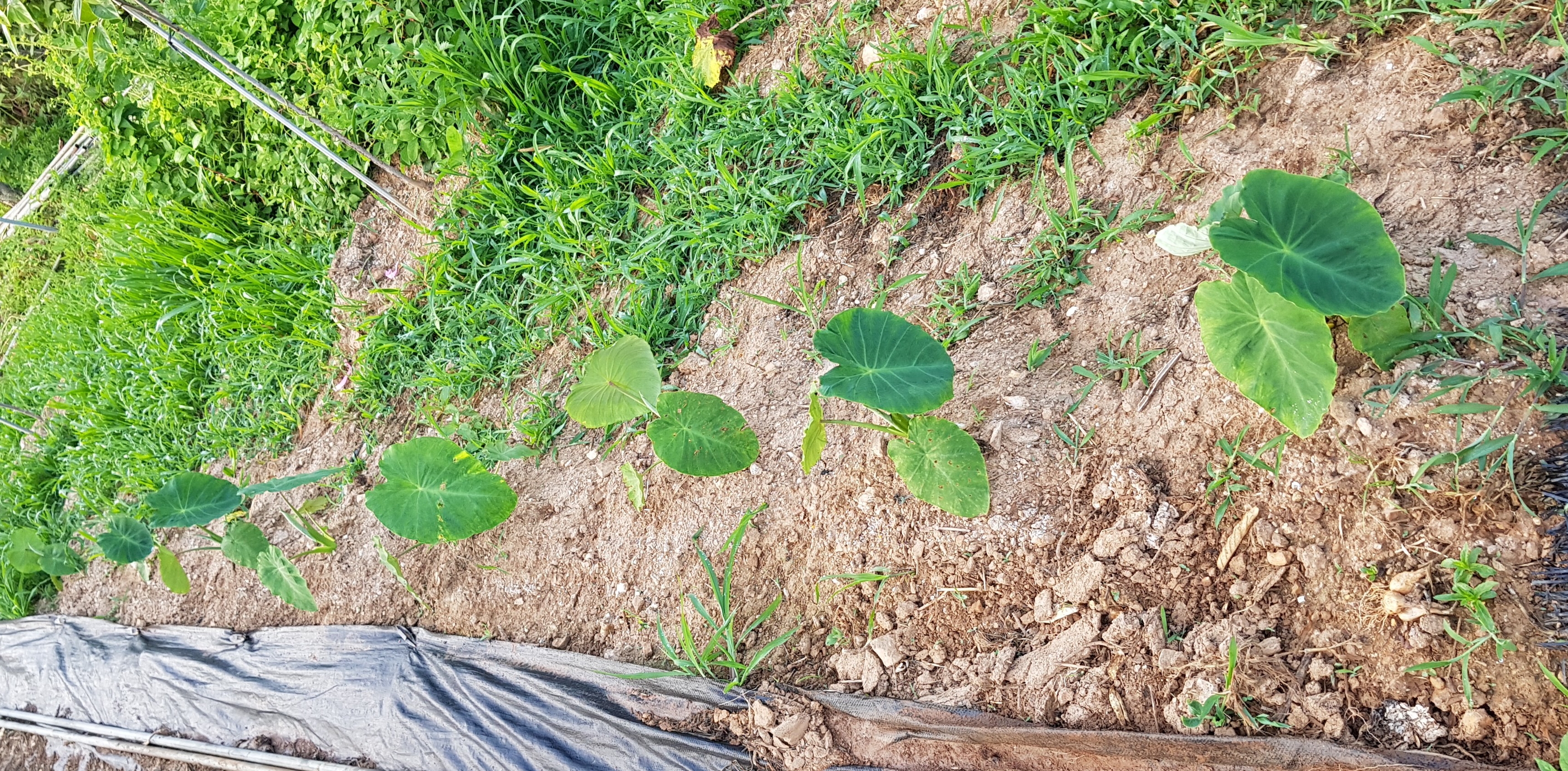 20190619_021229.jpg